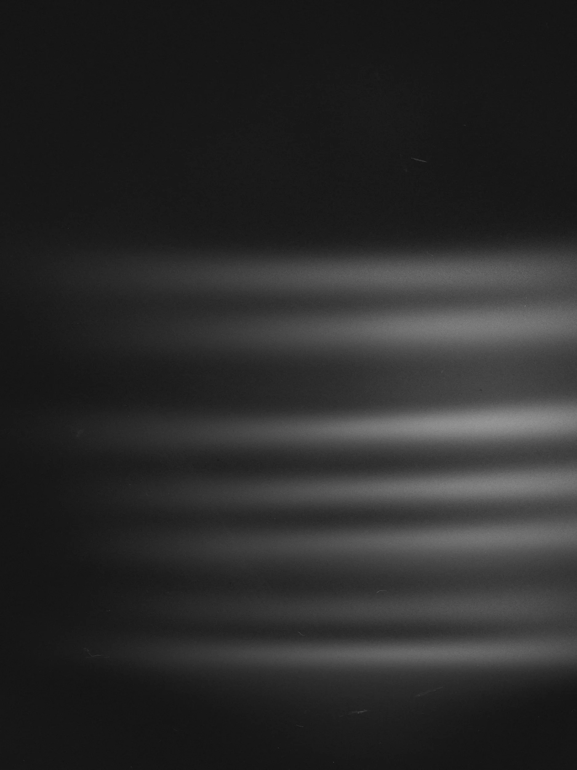 DSCF8381.jpg