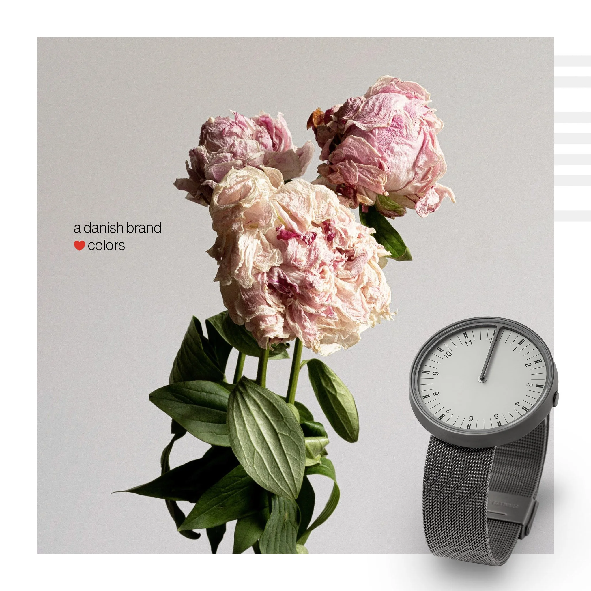 3-Flowers01.jpg
