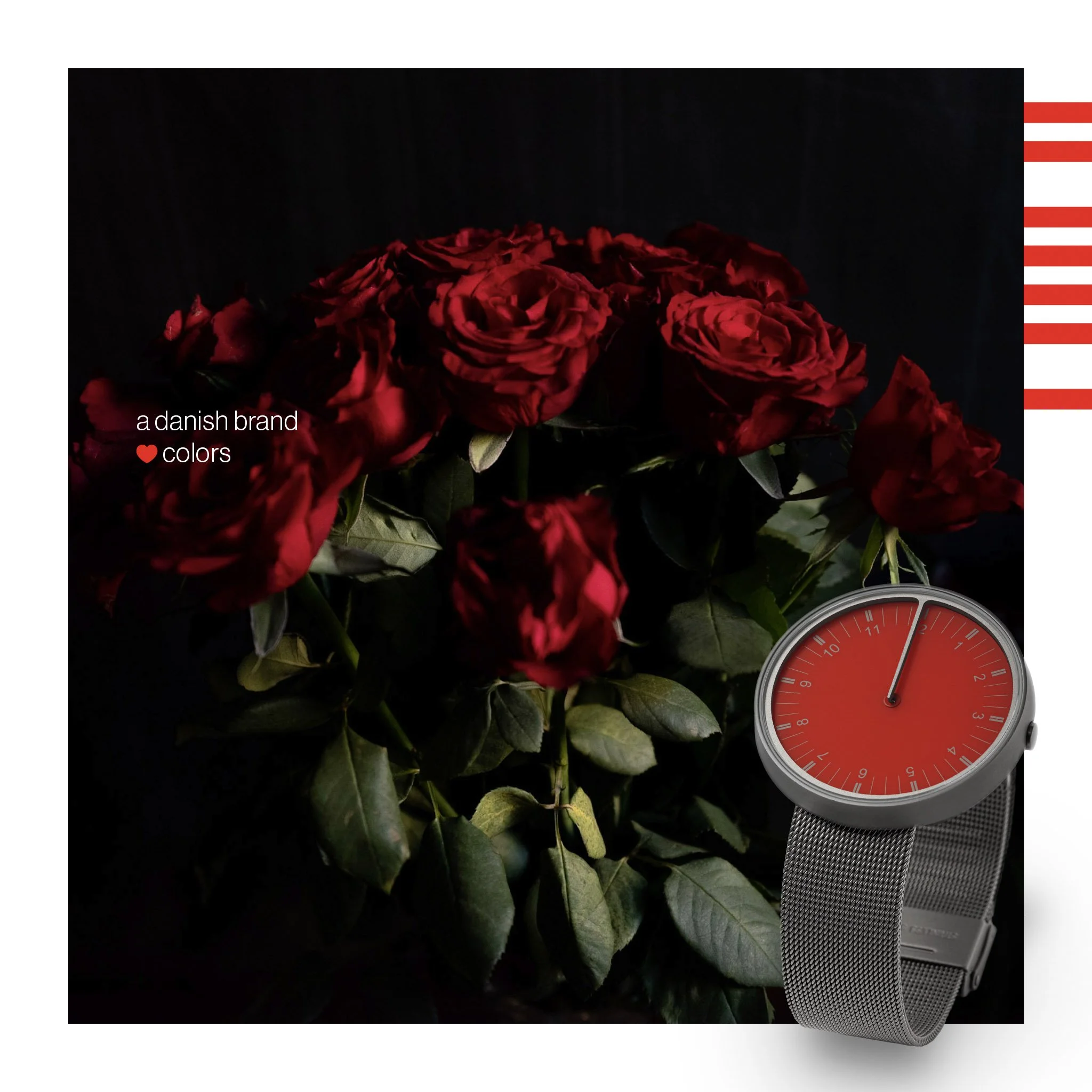 1-Flowers02.jpg