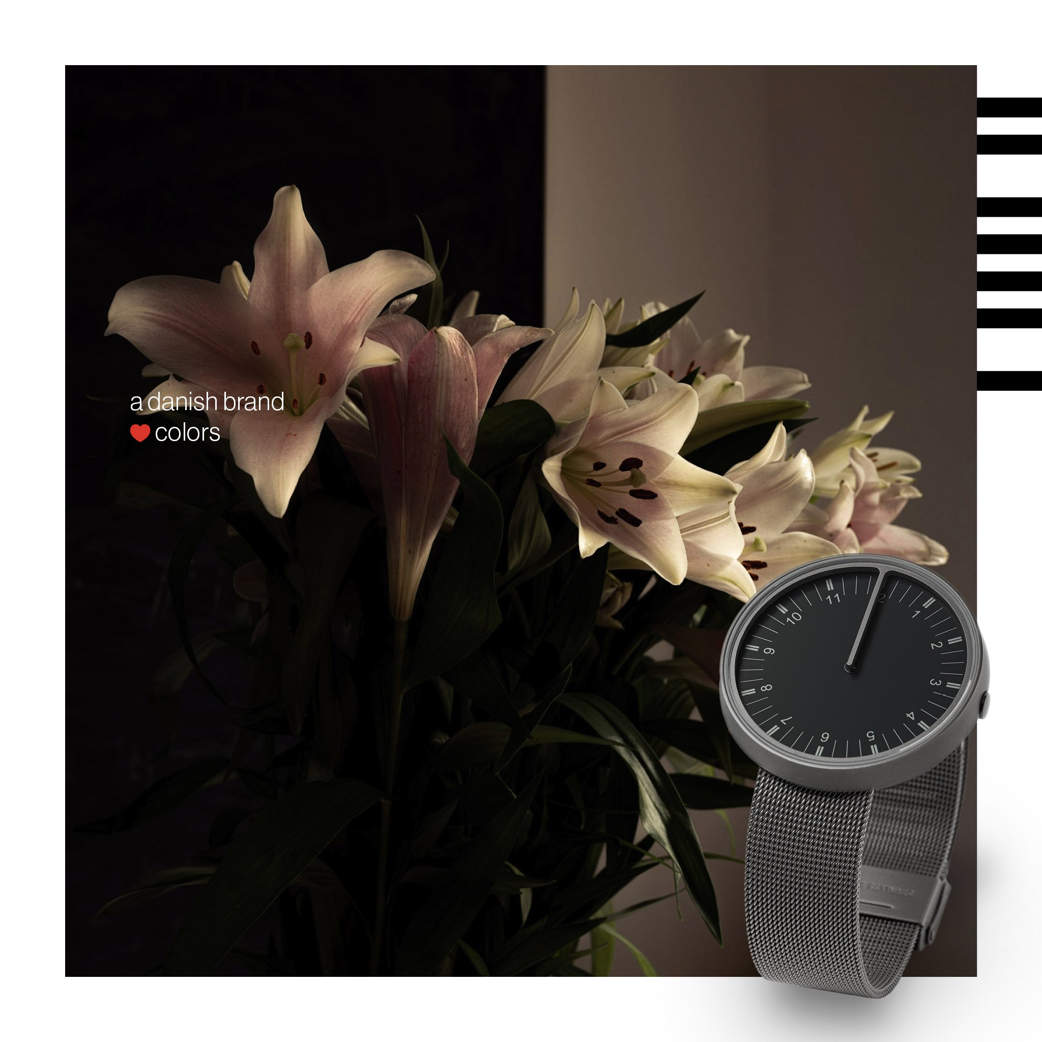 5-Flowers05.jpg