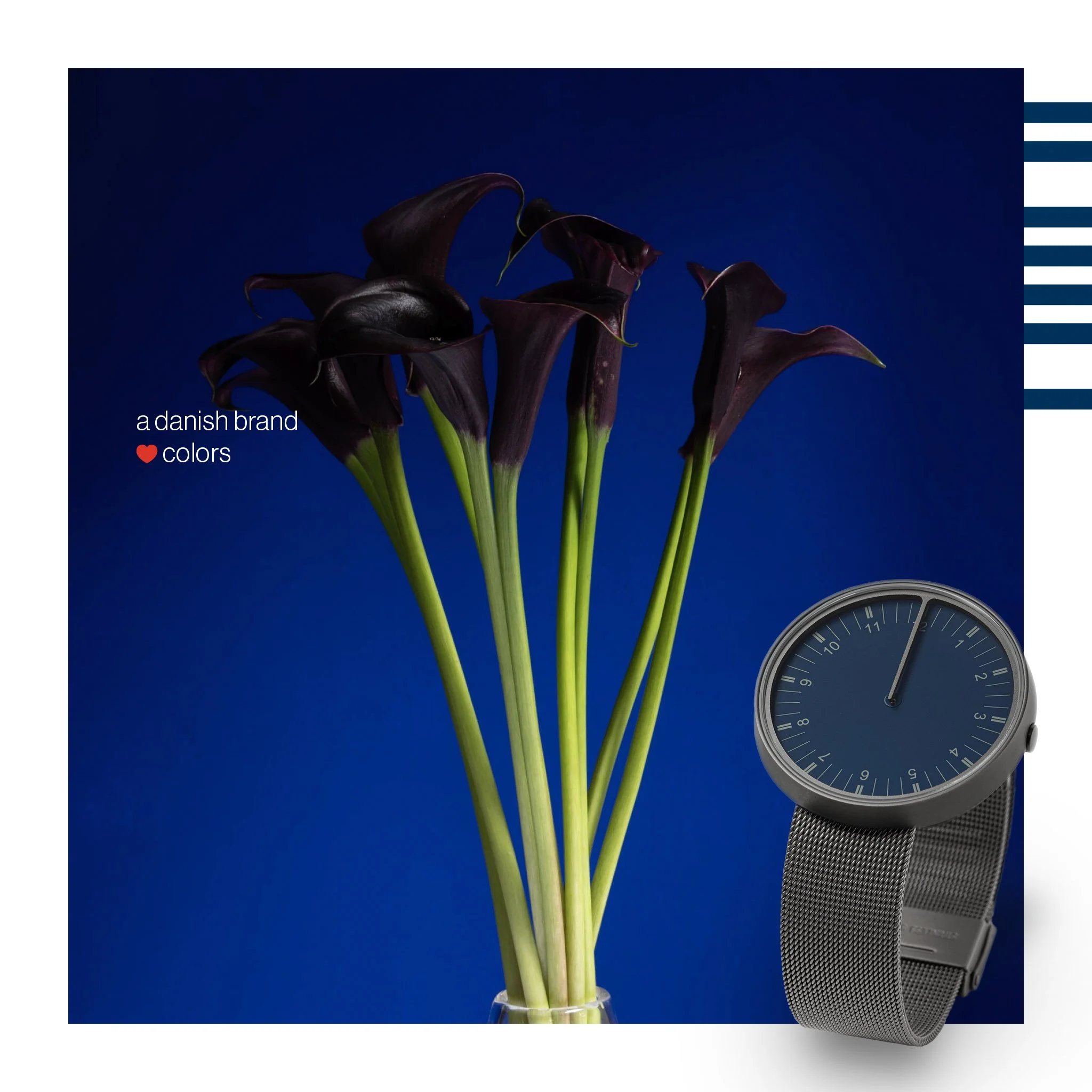 2-Flowers04.jpg