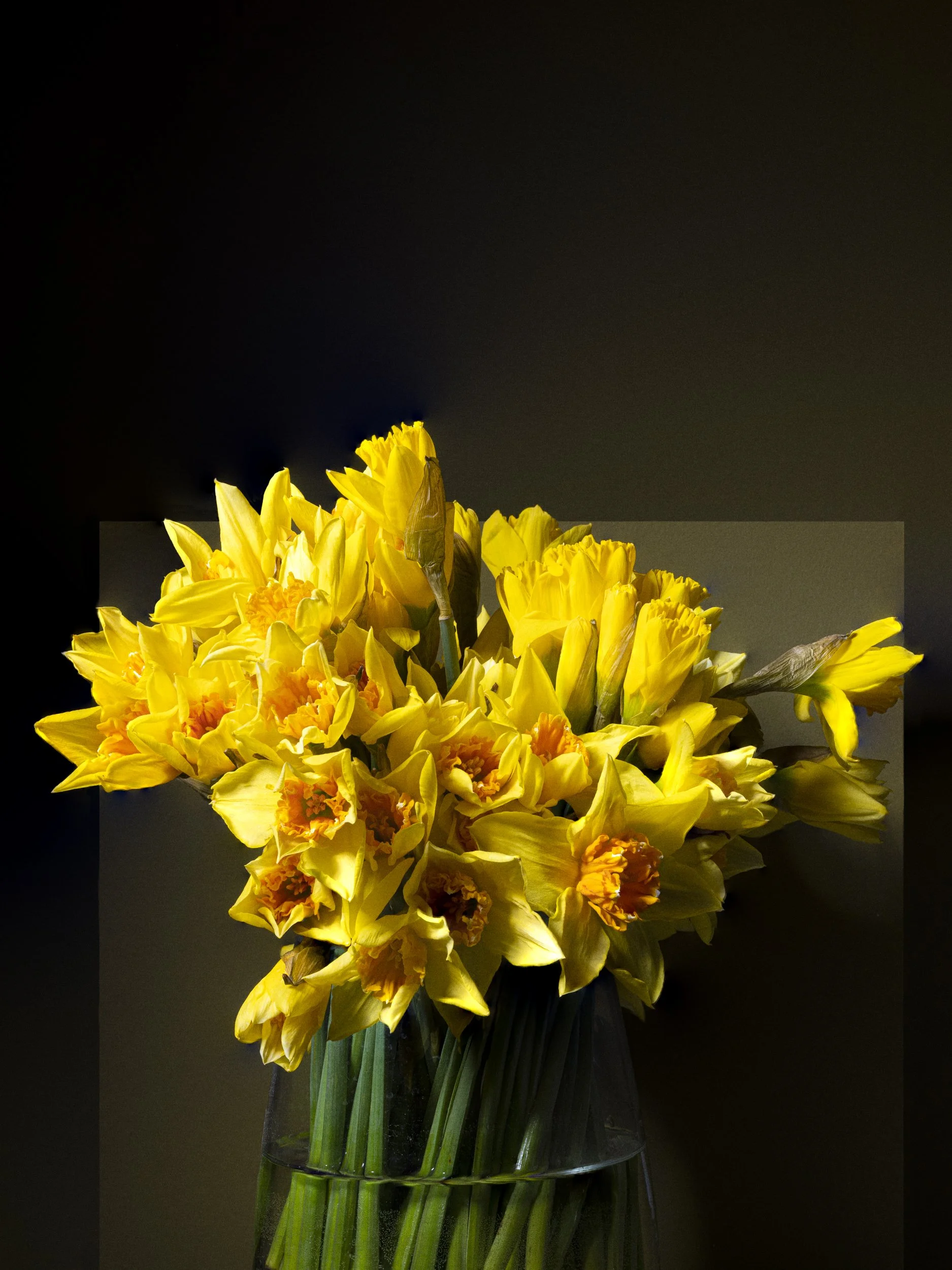 OneNow-191-Edit.jpg