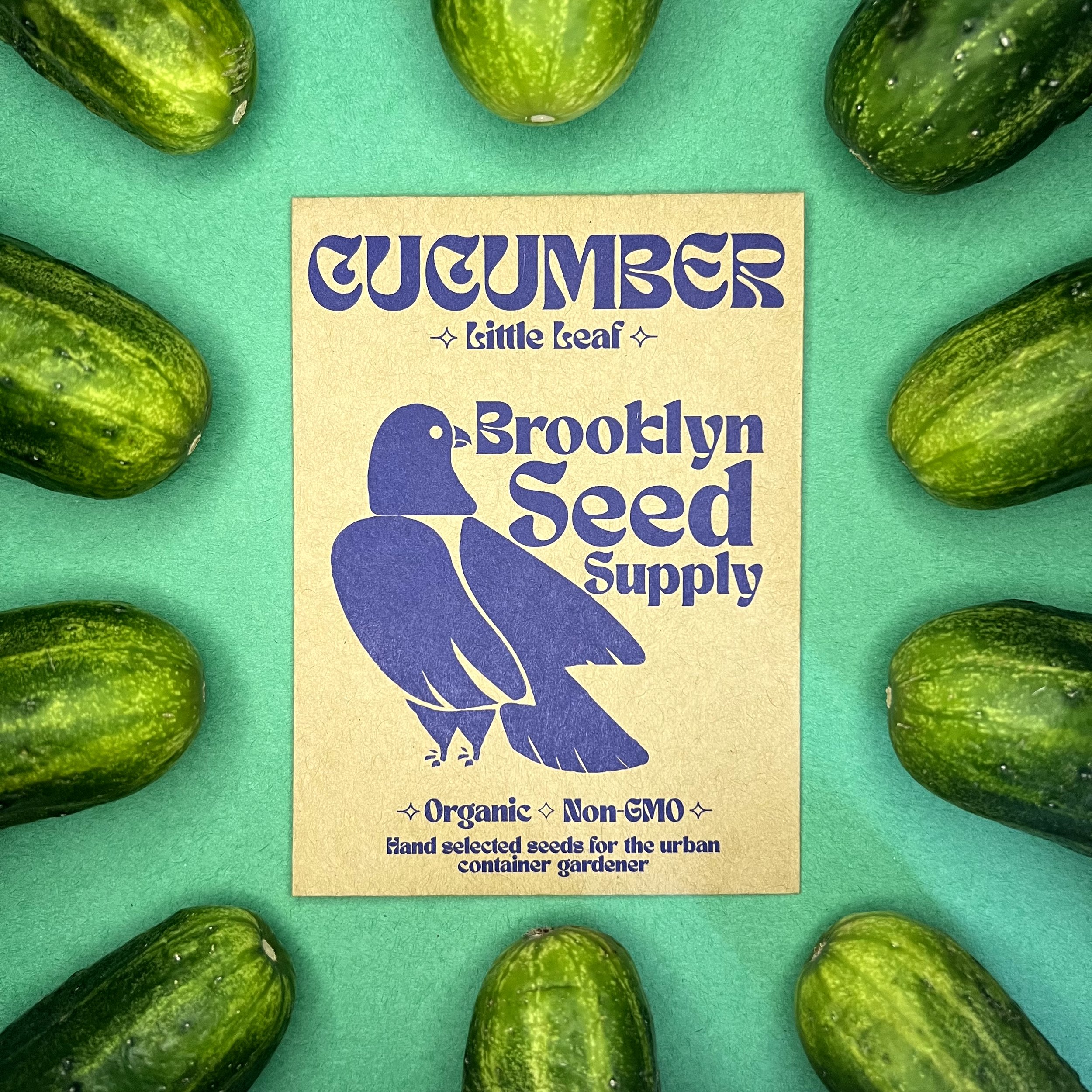 Little Leaf Cucumber