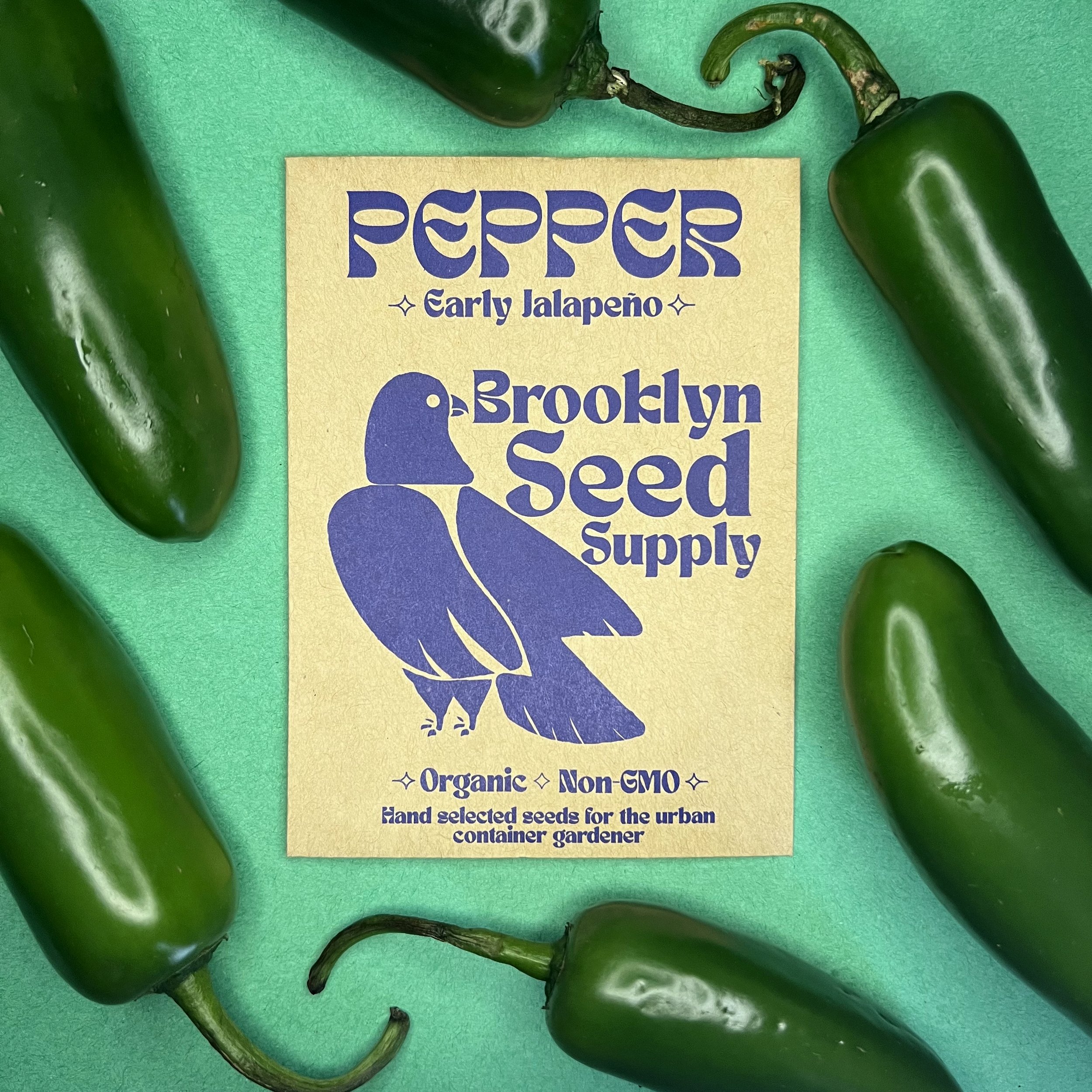 Early Jalapeño Pepper