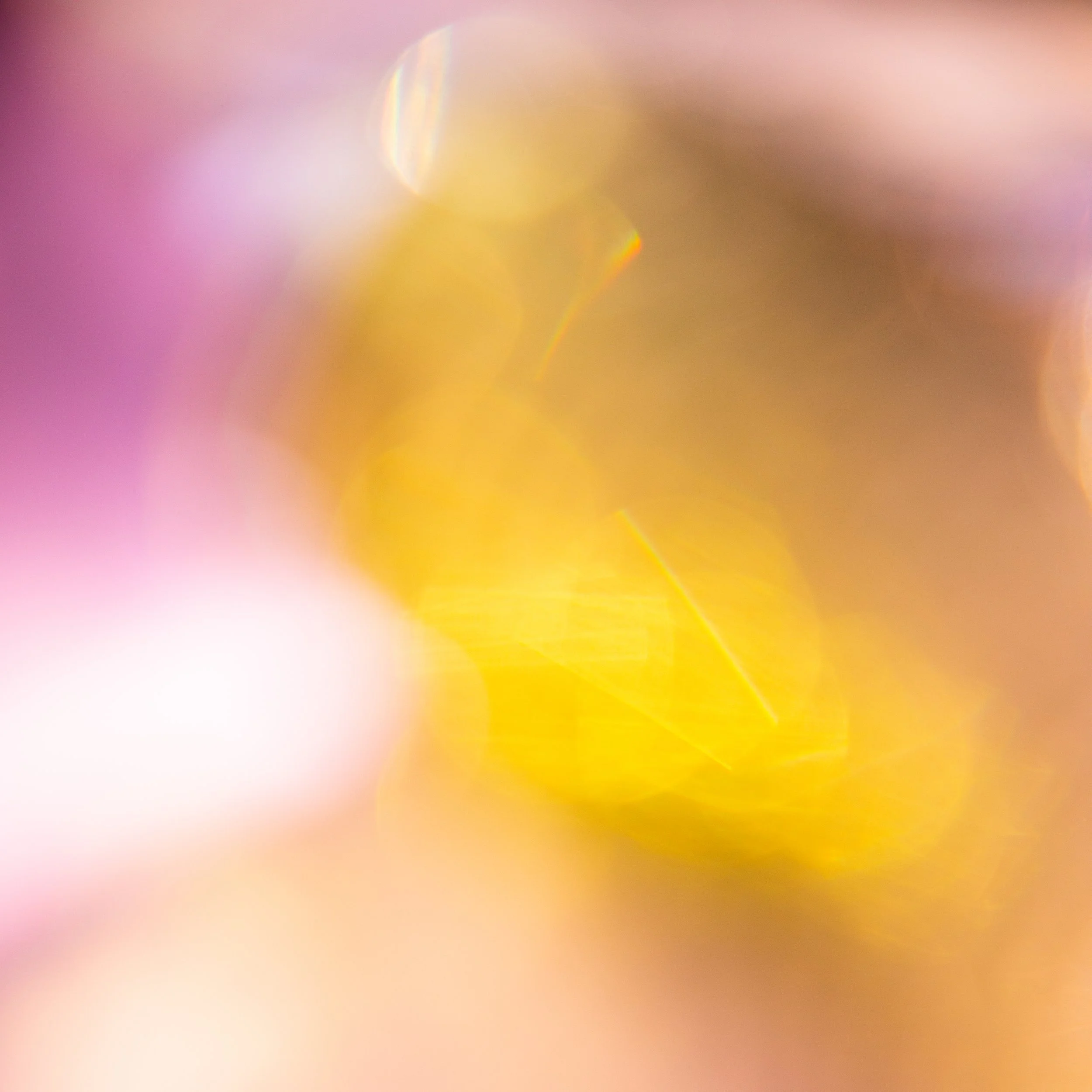 21323-6867.jpg