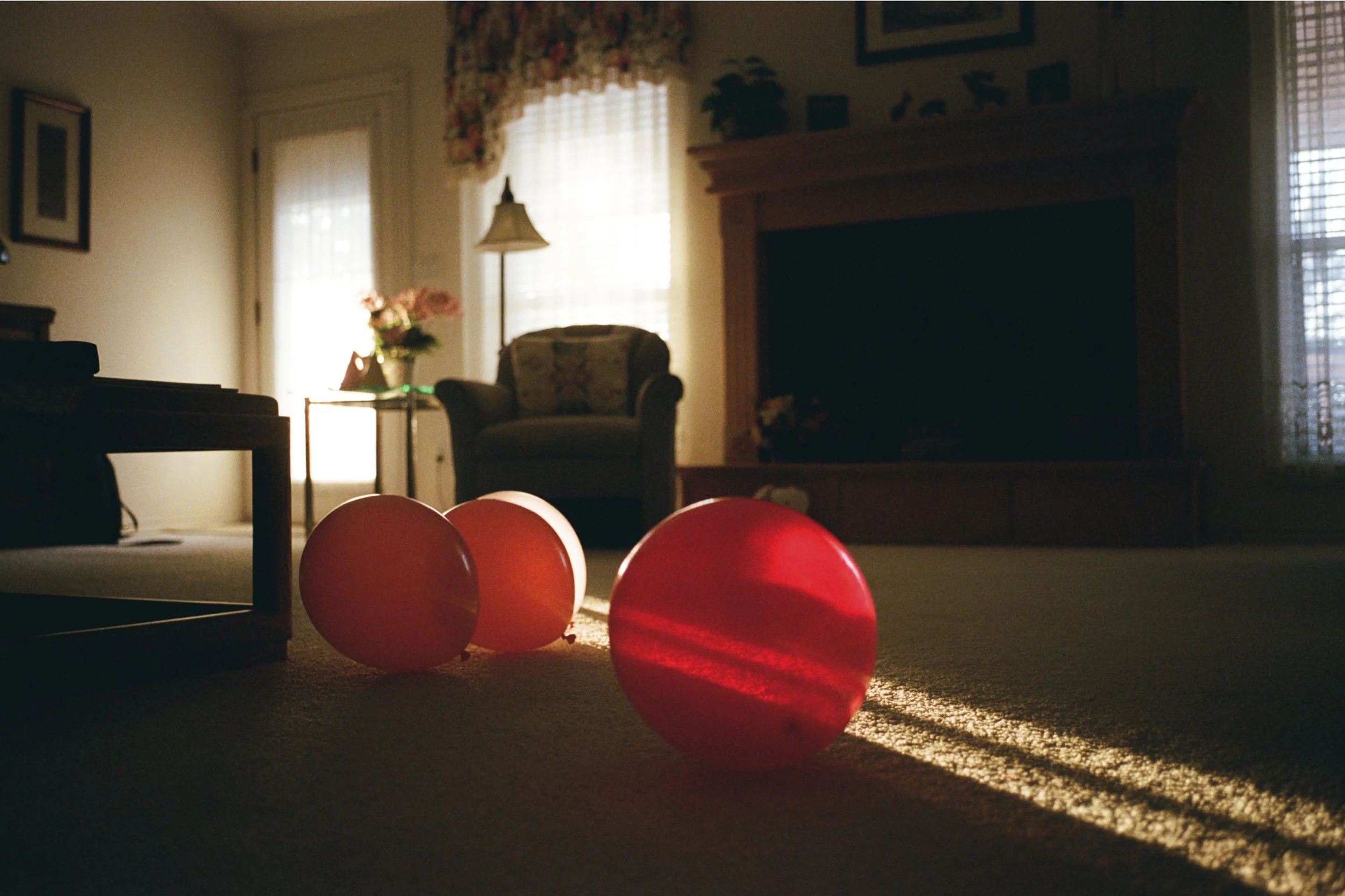 365 Day Tearaway Calendar Exhibition at Contact Photo