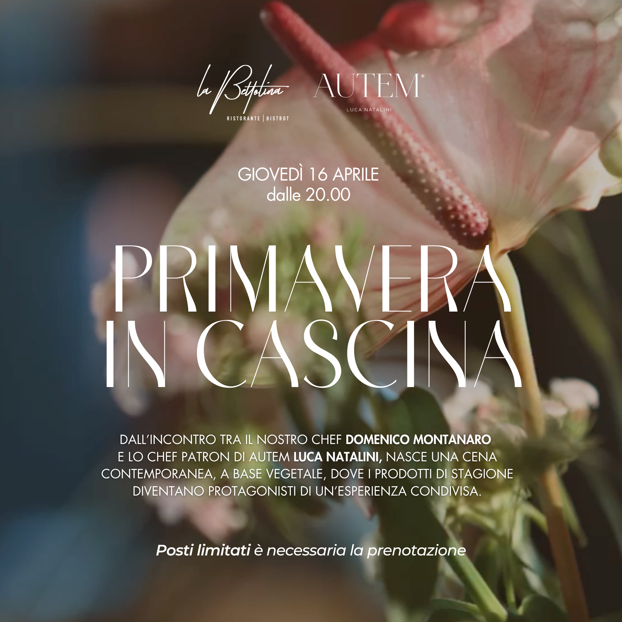 PRIMAVERA IN CASCINA