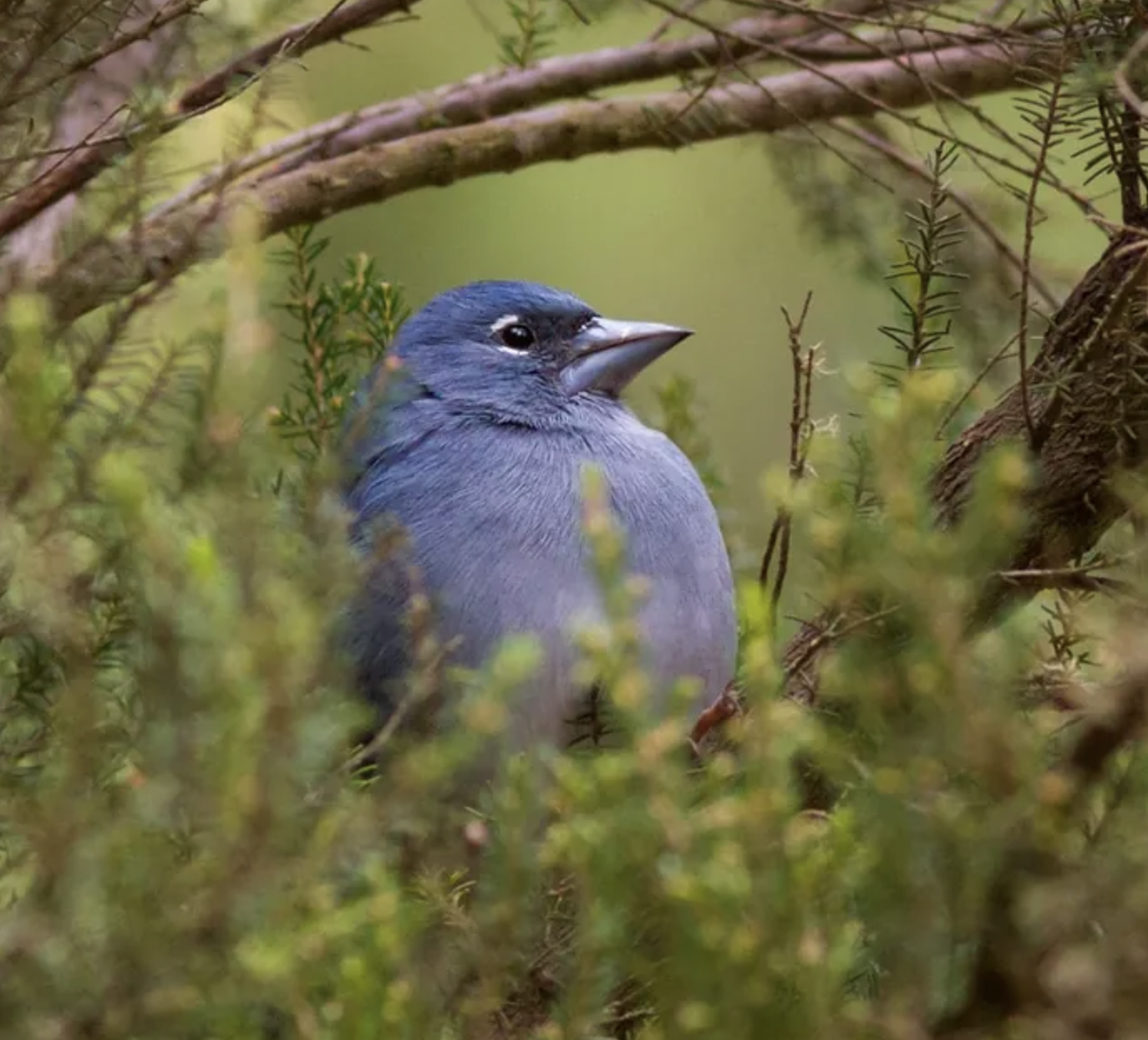 Screenshot 2026-02-10 at 2.06.55 PM.png