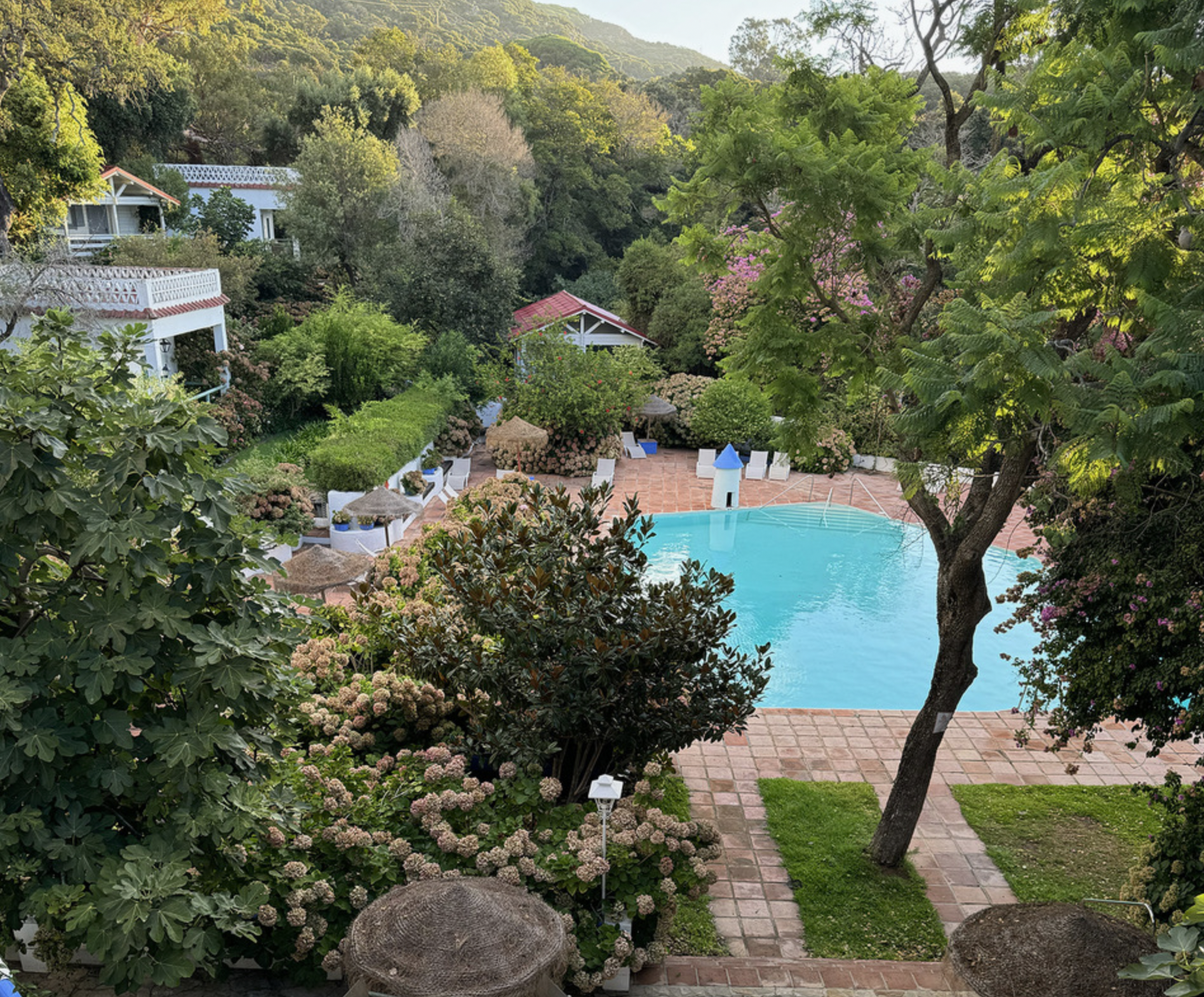 Screenshot 2026-02-10 at 11.31.55 AM.png