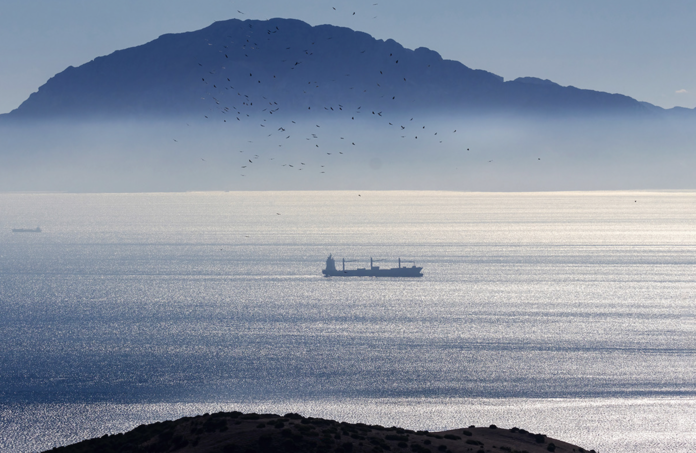 Screenshot 2026-02-10 at 11.32.35 AM.png