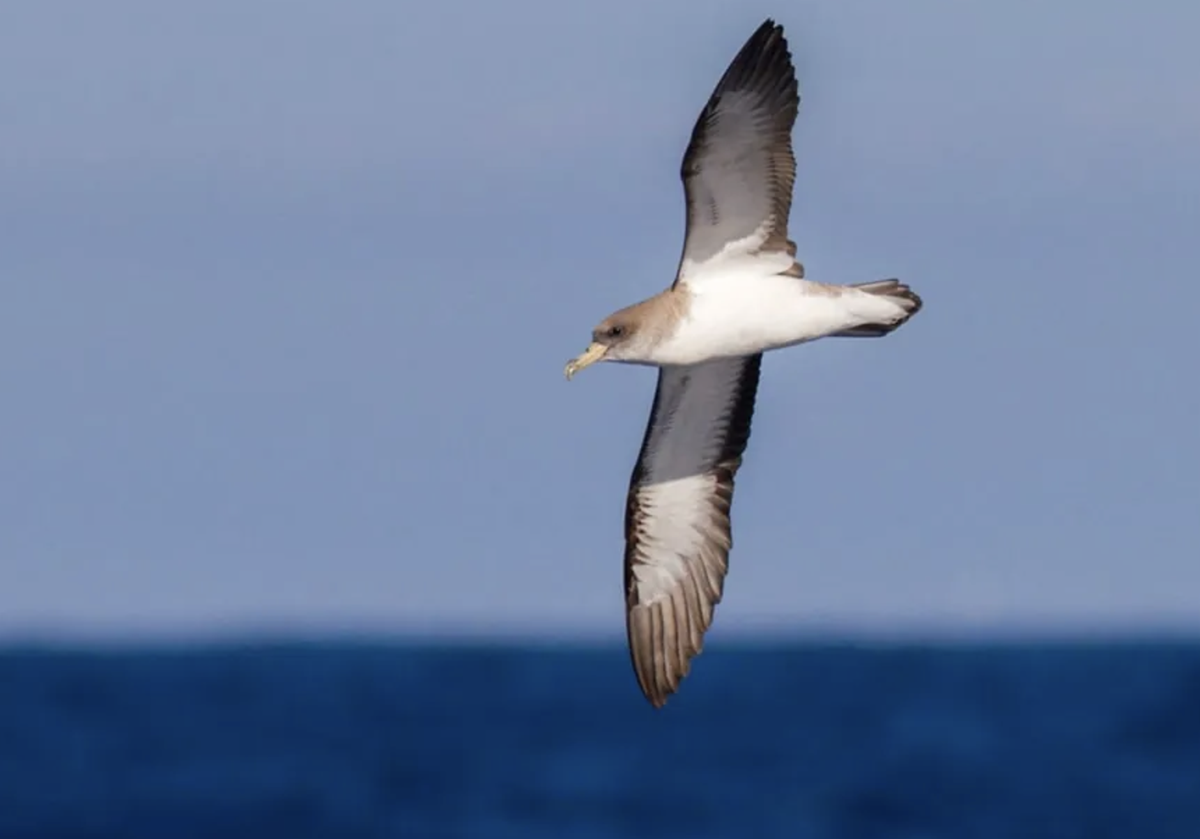 Screenshot 2026-02-10 at 2.07.05 PM.png