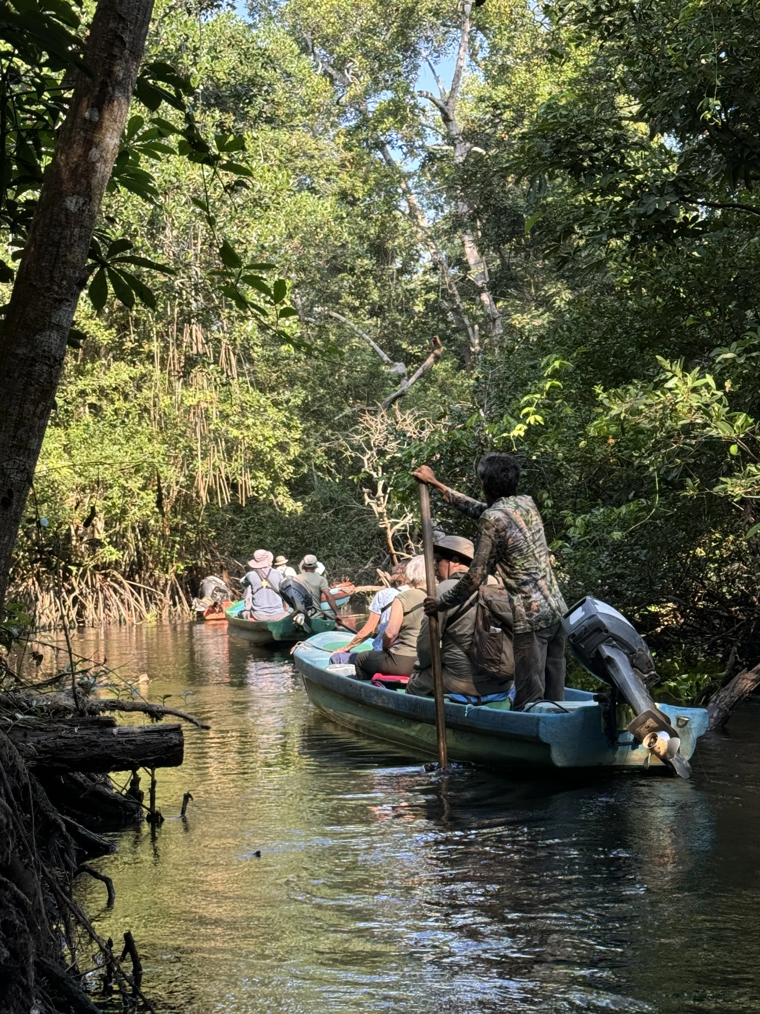 People in small boats navigating through a narrow, lush green forest waterway with dense trees and foliage overhead.