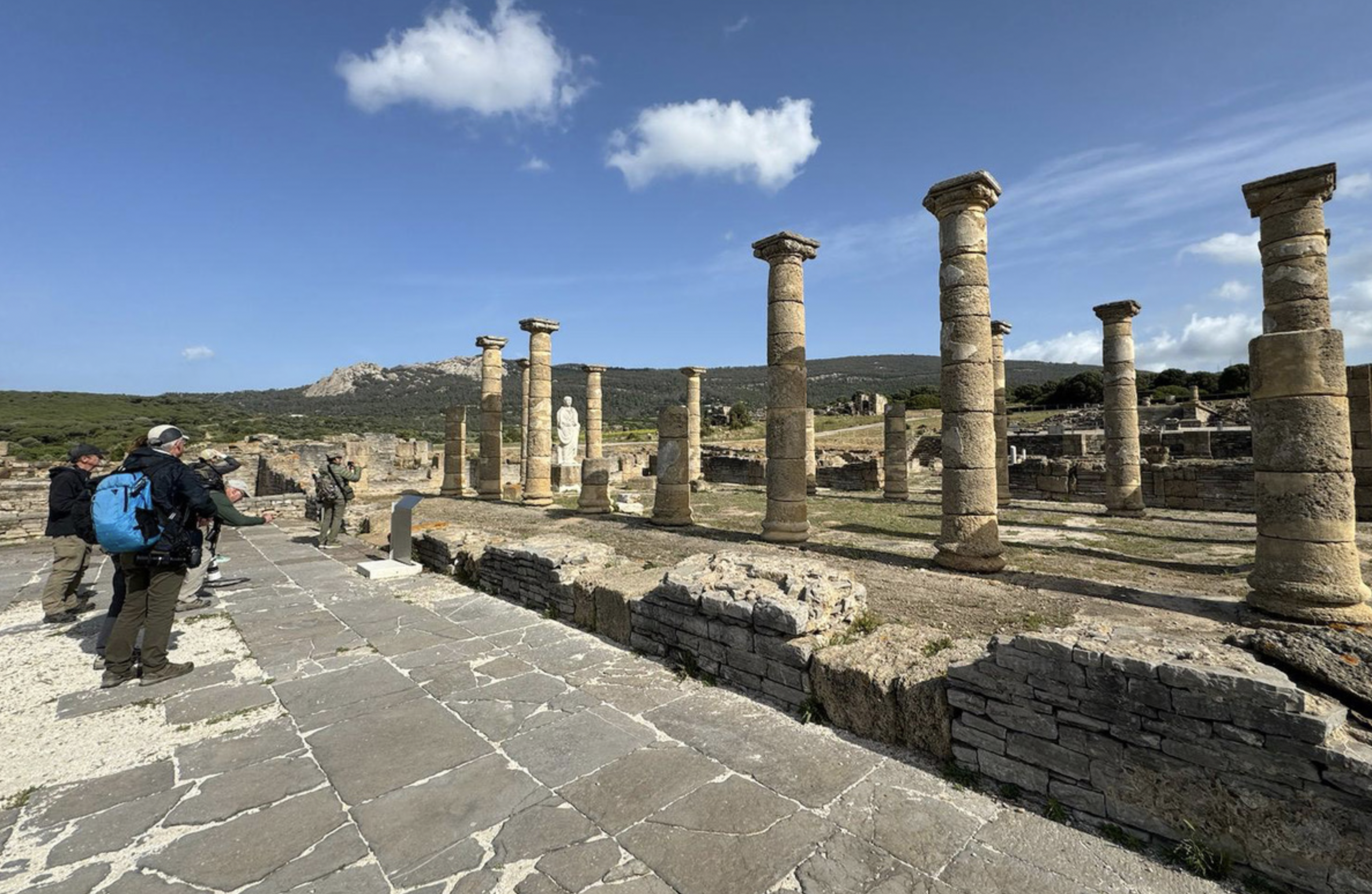 Screenshot 2026-02-10 at 11.20.24 AM.png