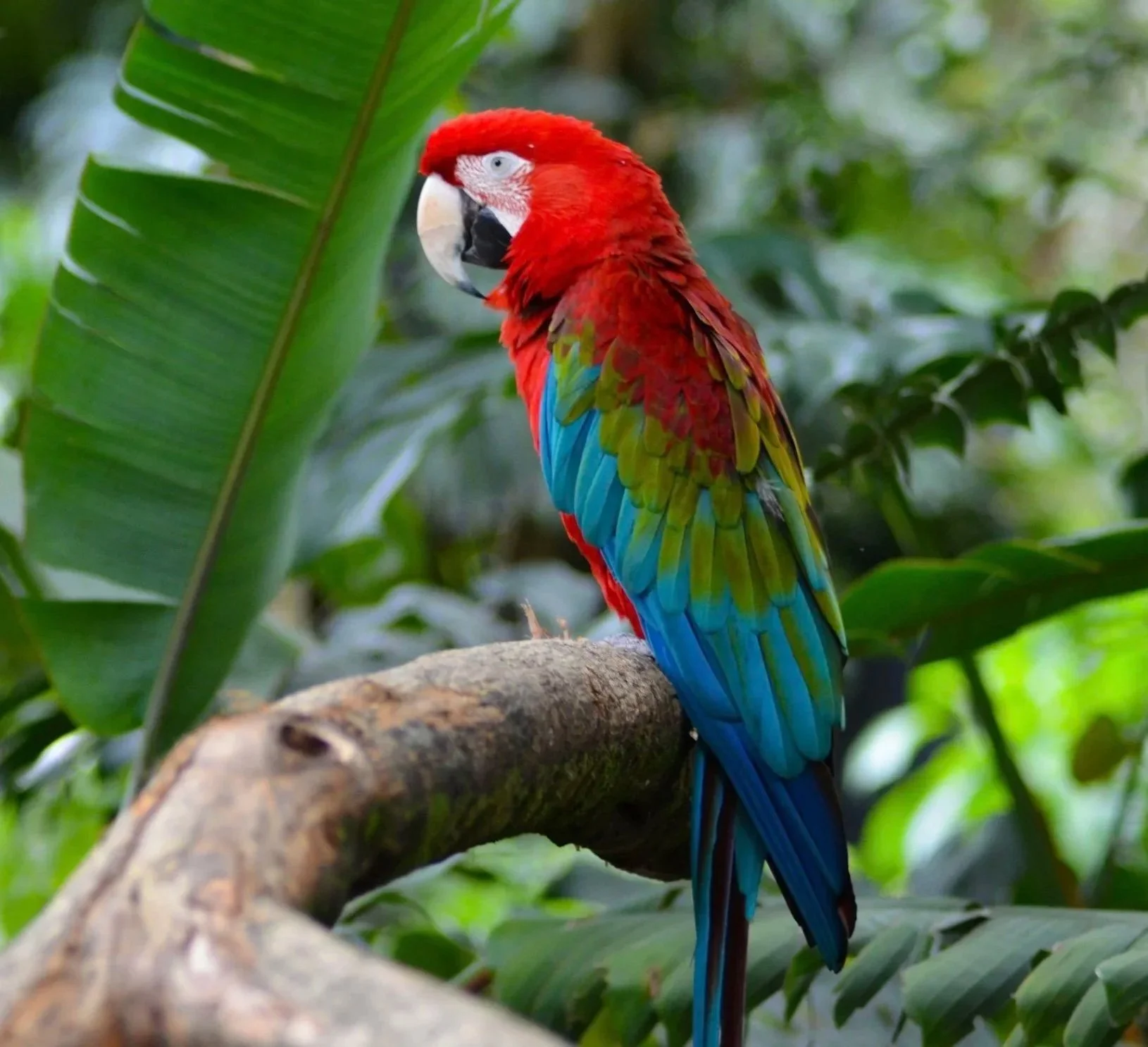 Colombia Araucana Lodge