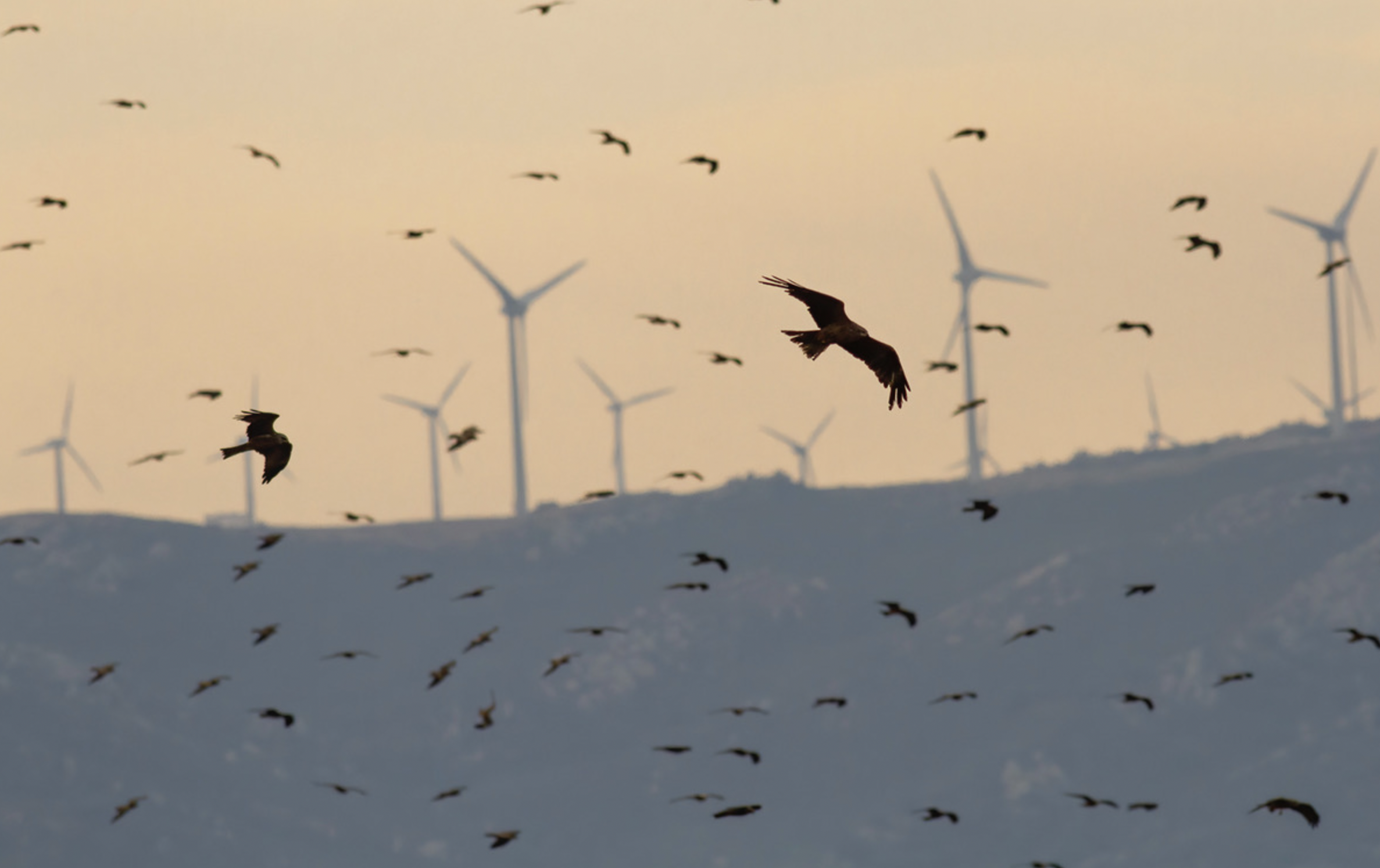 Screenshot 2026-02-10 at 11.33.09 AM.png