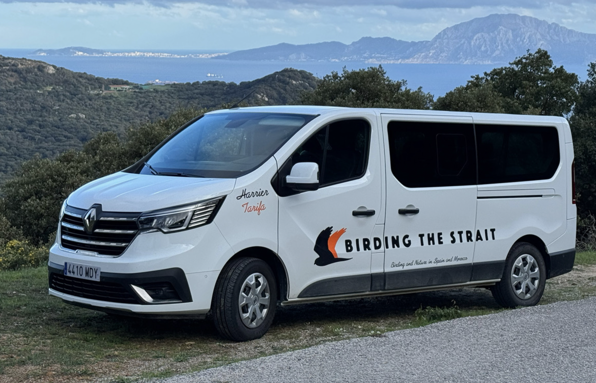 Screenshot 2026-02-10 at 11.31.32 AM.png