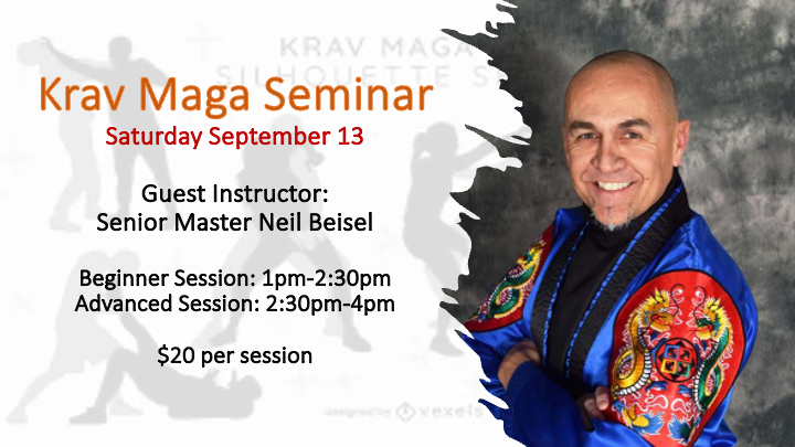 Krav Maga Seminar @ Vigilance Martial Arts