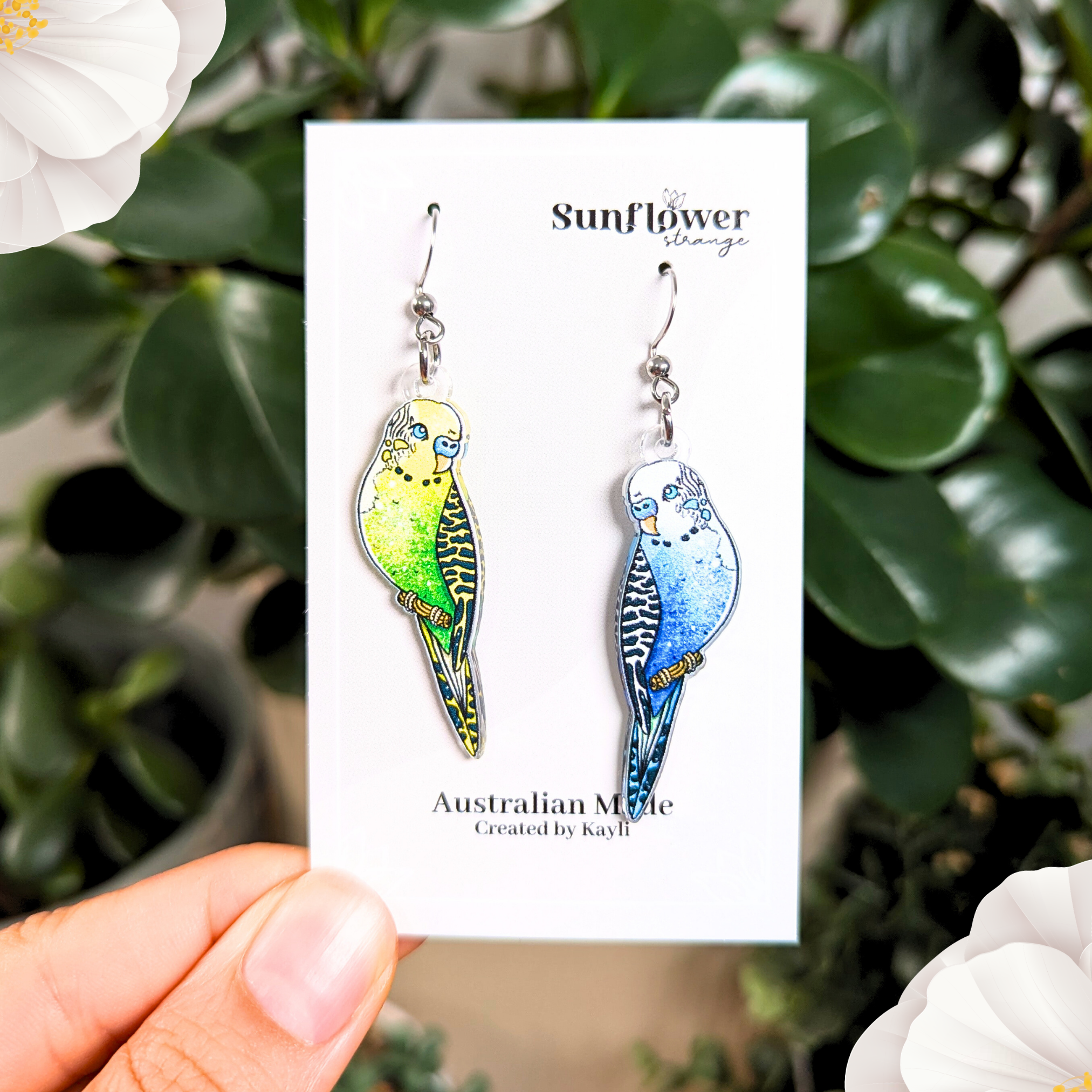 Budgies