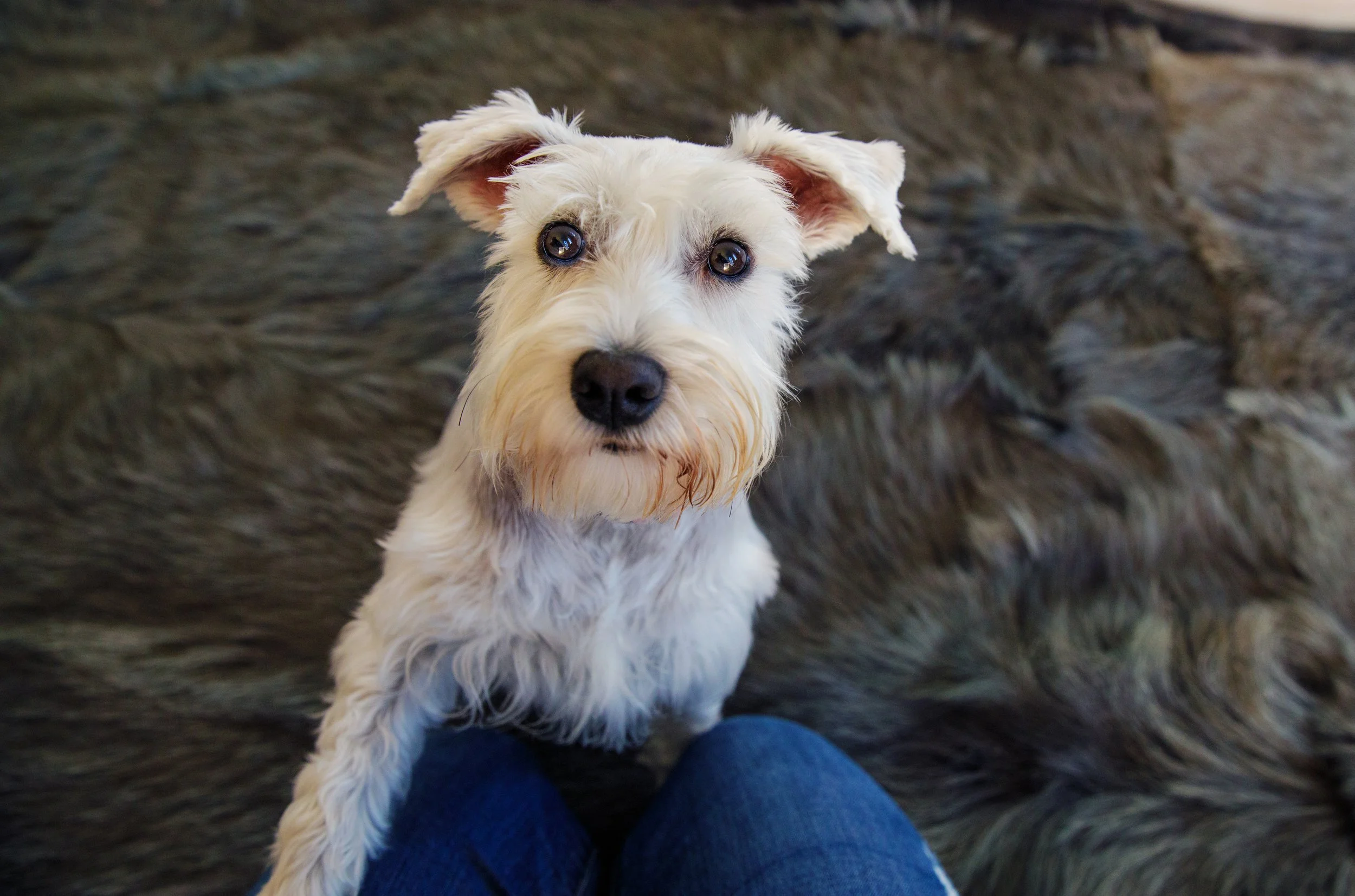 bay area family  (12).jpg