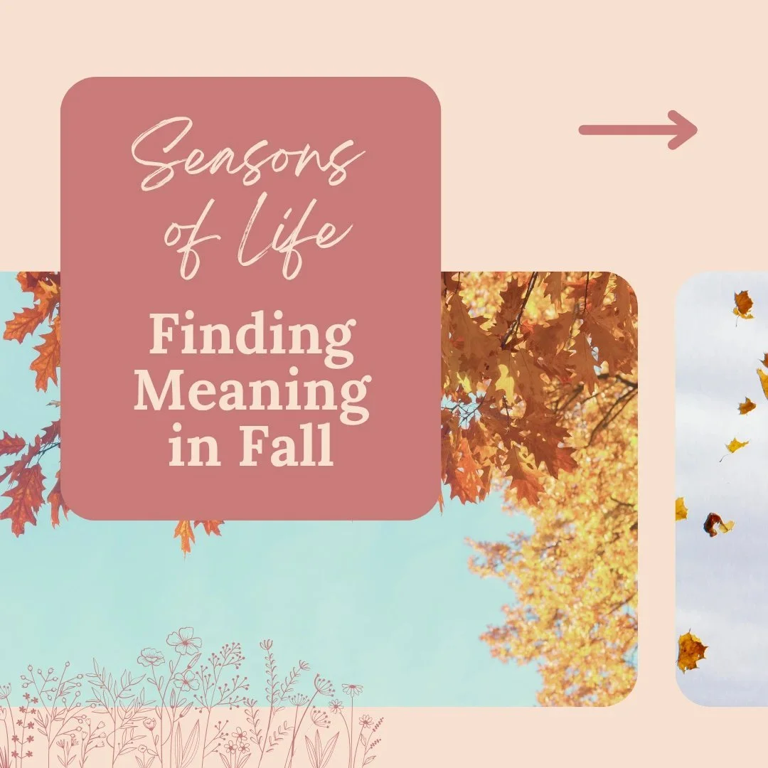 Fall brings a gentle slowing down 🍂

It can be a valuable time to reflect and prepare for the rest that winter often brings.

#seasonsoflife #fall #meaning #slowseason #slowliving #reflection #rest #intention #emotionalwellness #mindfulliving #thera