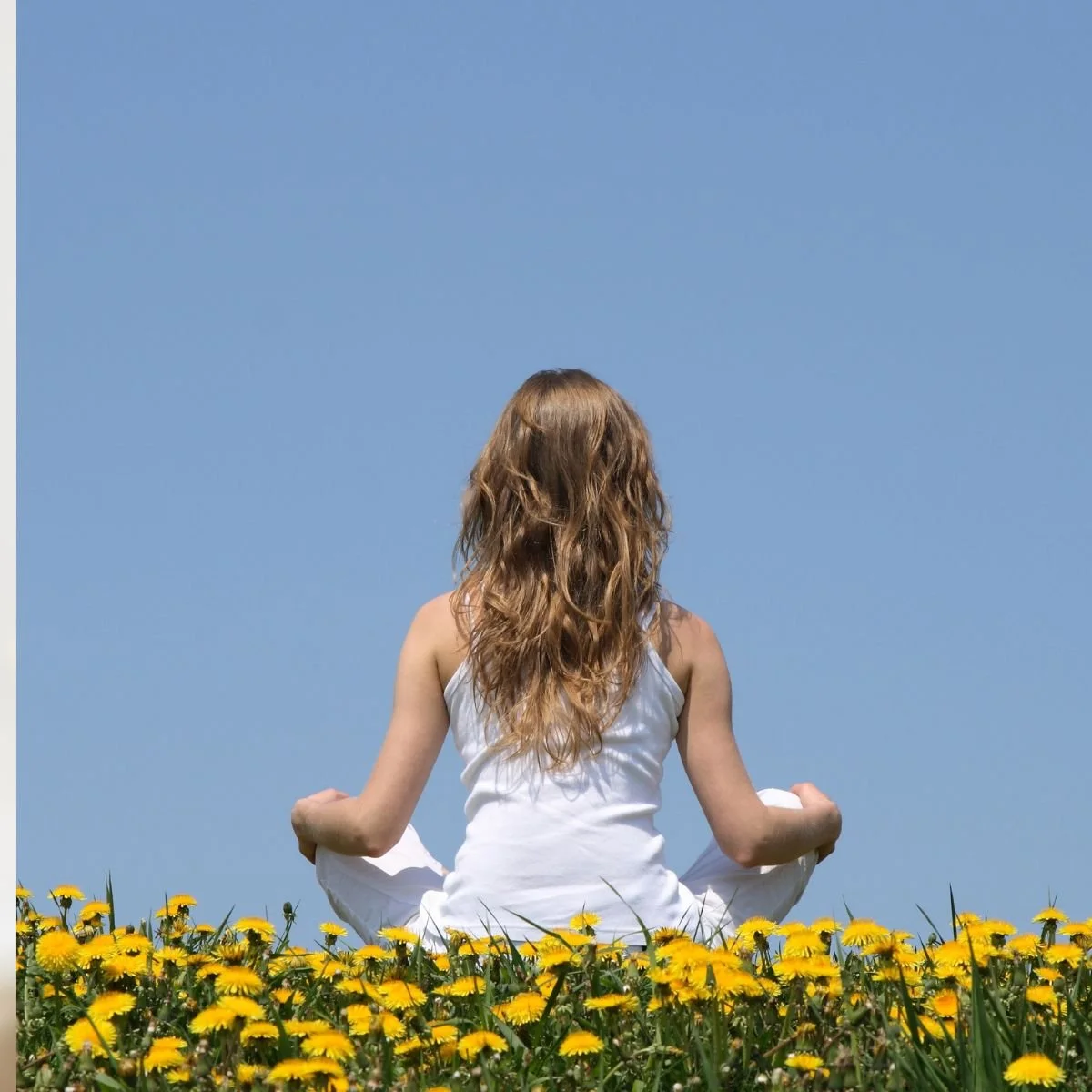 A Mindfulness Approach: Learning From Our Past