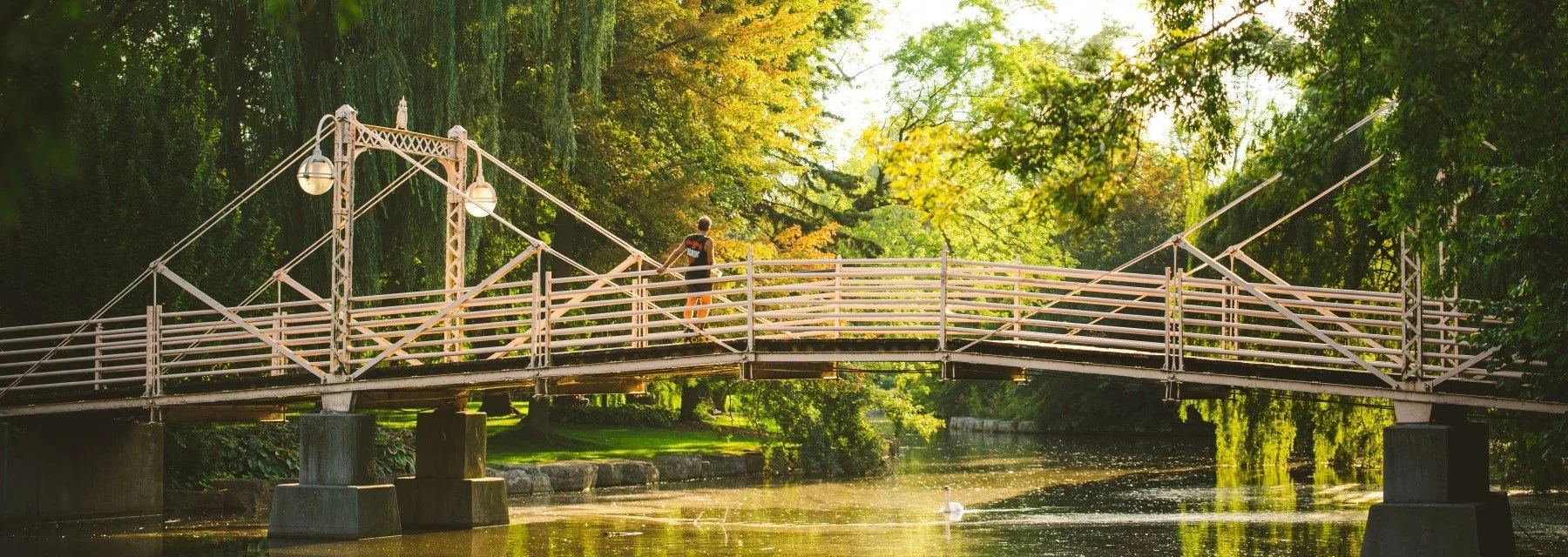 A person with a skateboard walking on a white metal footbridge over a calm river in a lush park, surrounded by trees with green and yellow leaves.