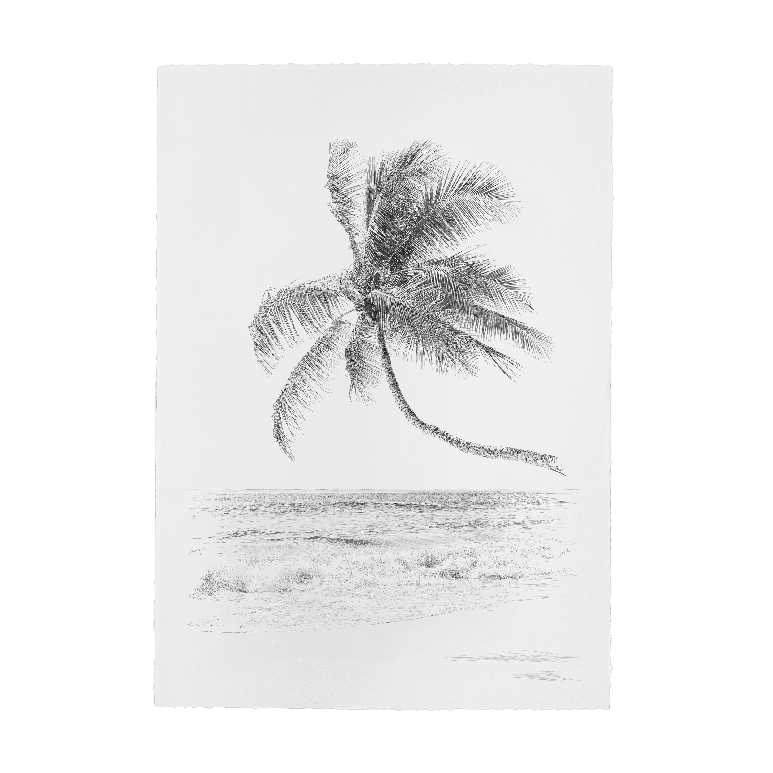 Kait DArcy Art Palm Waves 1.png