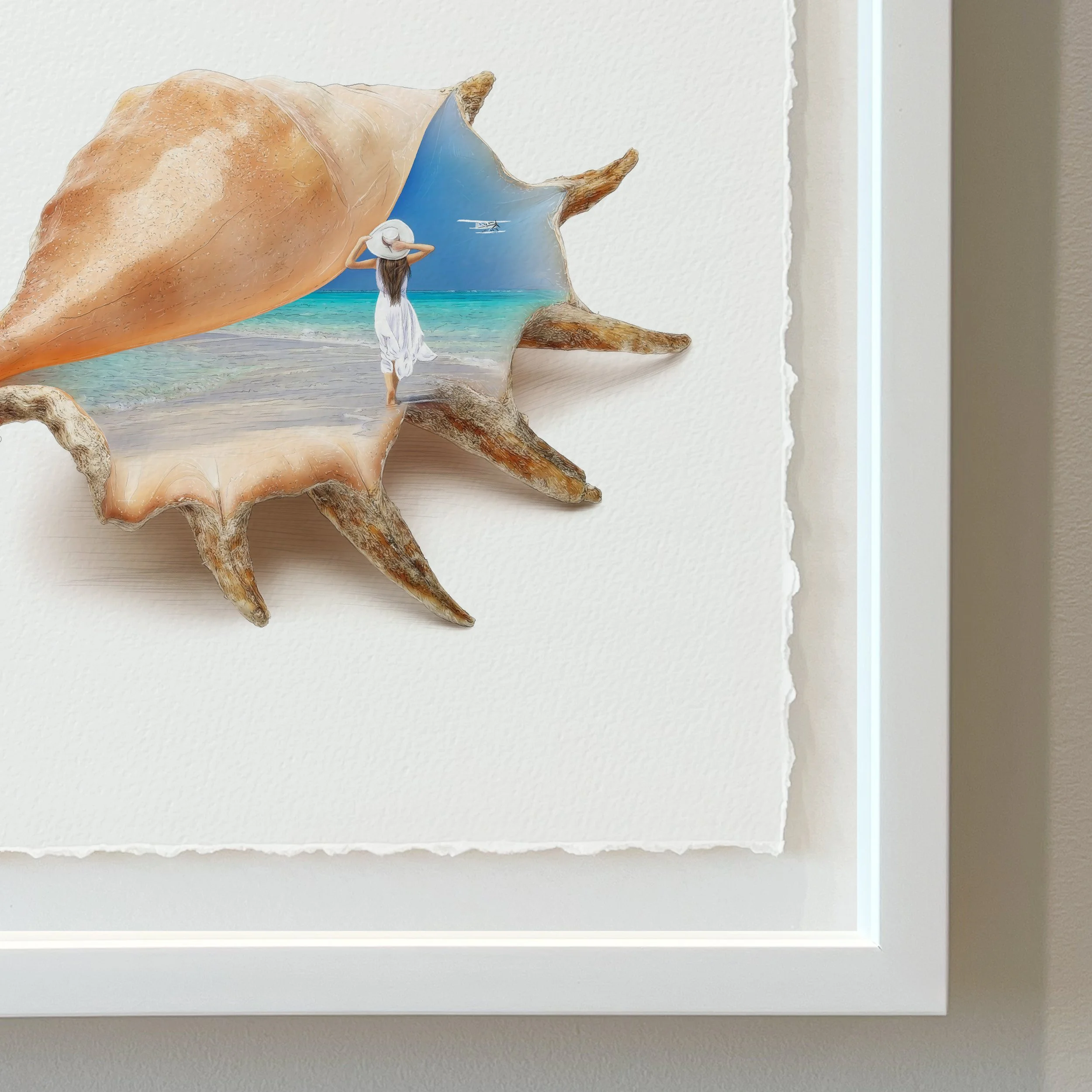 Kait DArcy Art Sea Shells Whitehaven Wandering Website 2.jpg