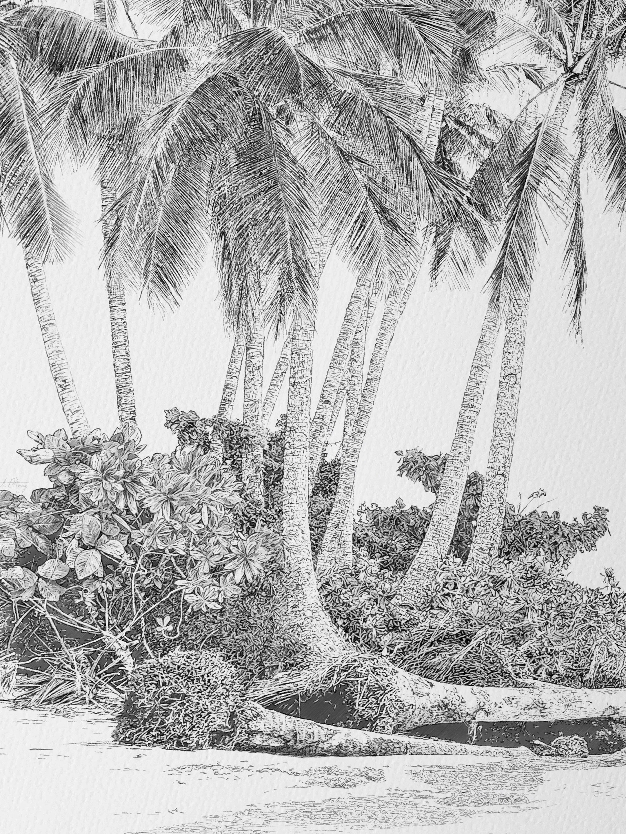 Daydream Shores &mdash; even the fallen palms are full of beauty and detail. This piece just keeps giving the longer you look.

Hand illustrated
Digital graphite pencil
Gicl&eacute;e fine art print
320gsm textured cotton rag

ORIGINAL EDITION
2A0 119