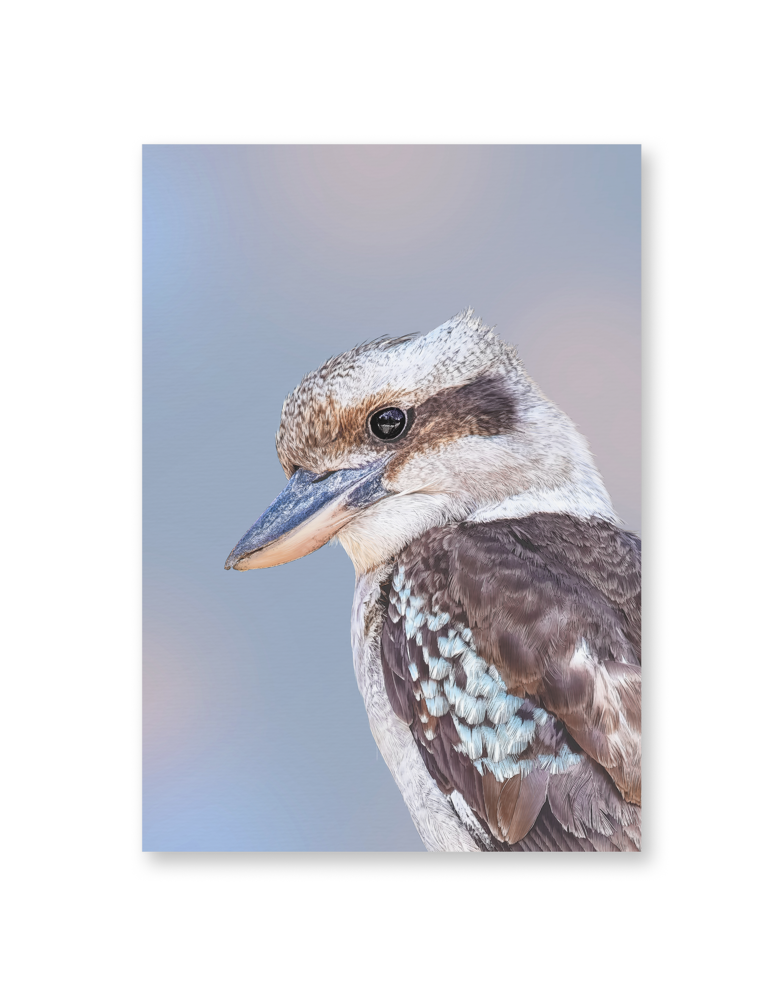 Kait D'Arcy Art Coco Kookaburra 1.png