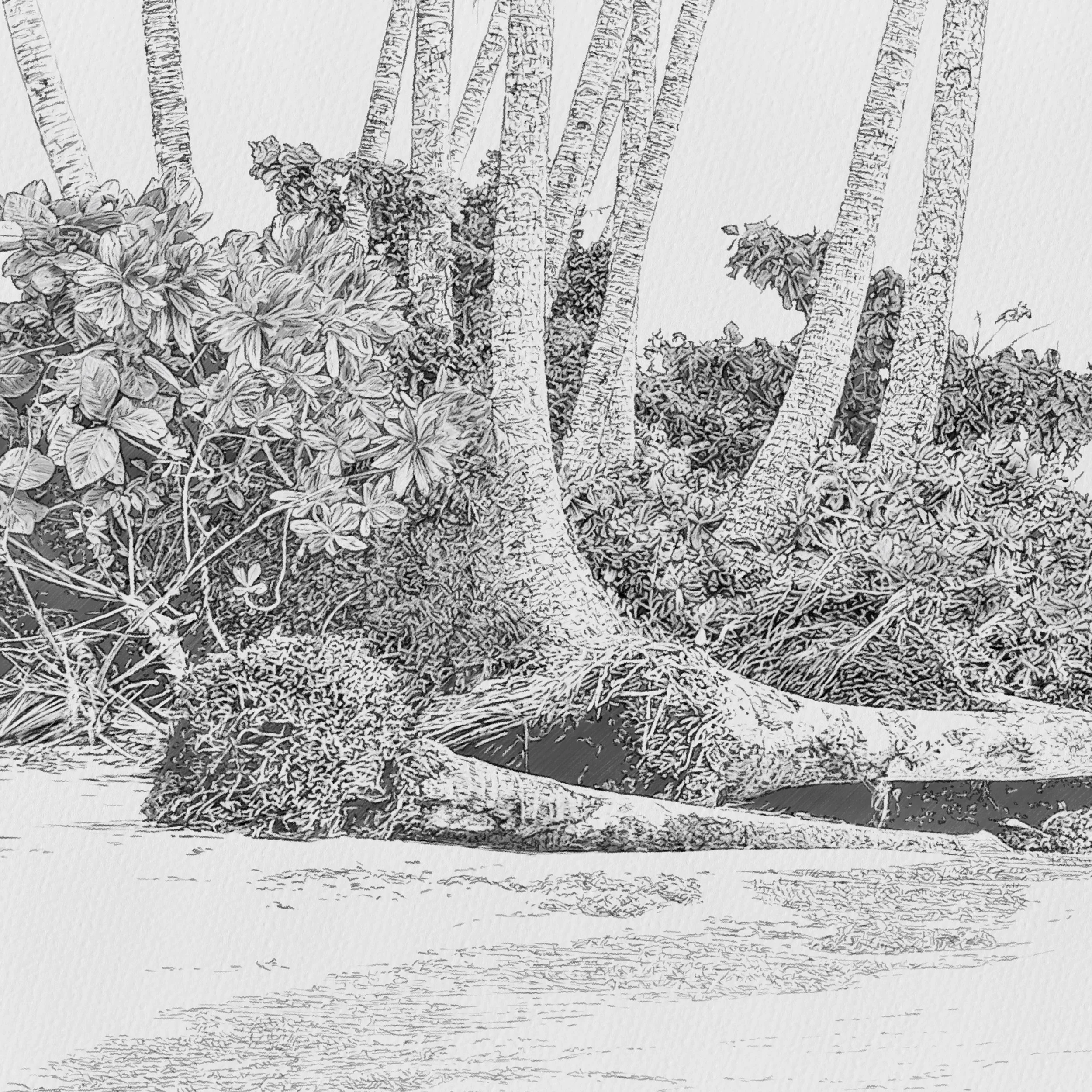 Kait DArcy Art Daydream Shores 2.jpg