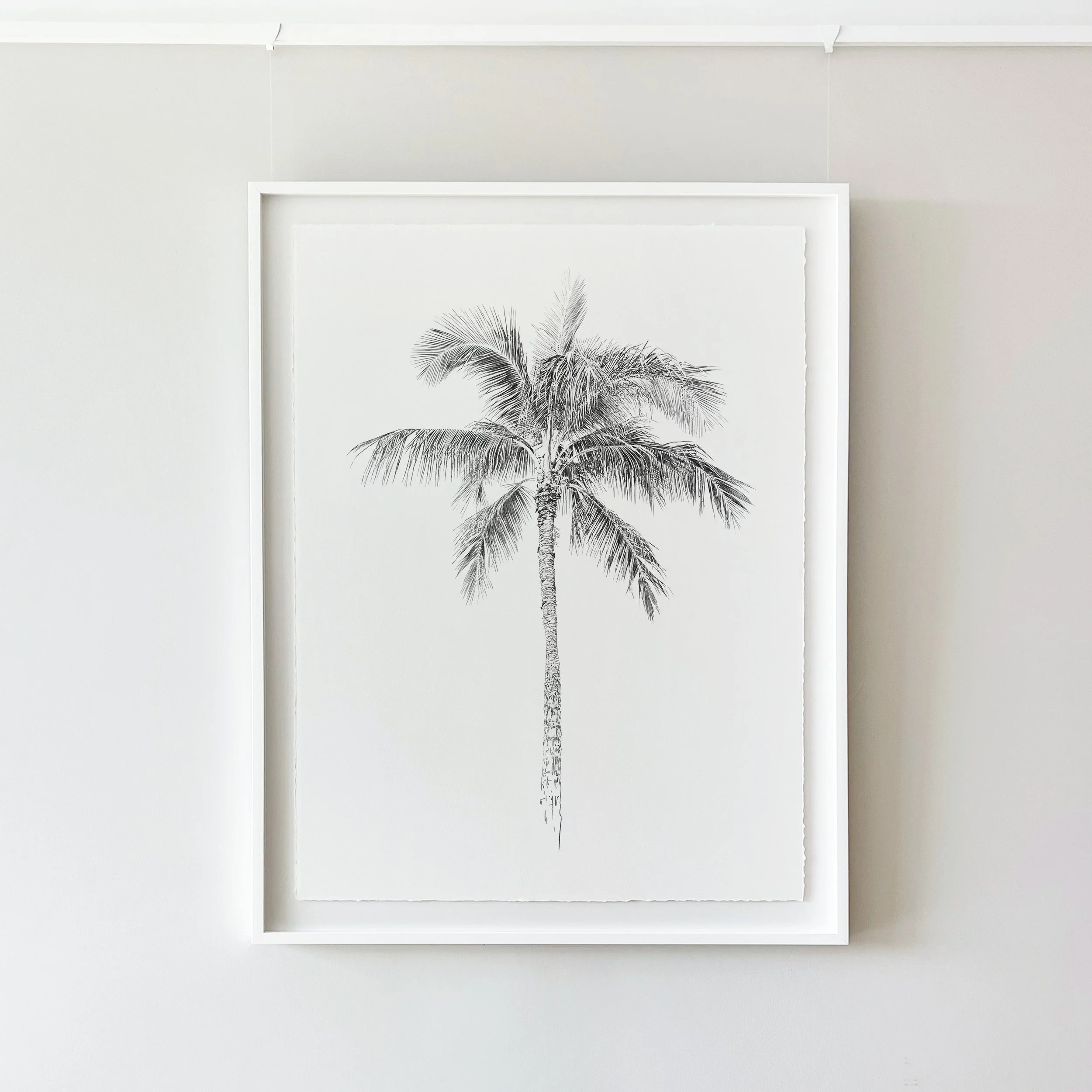 Kait DArcy Art Palm Lines 13.jpg