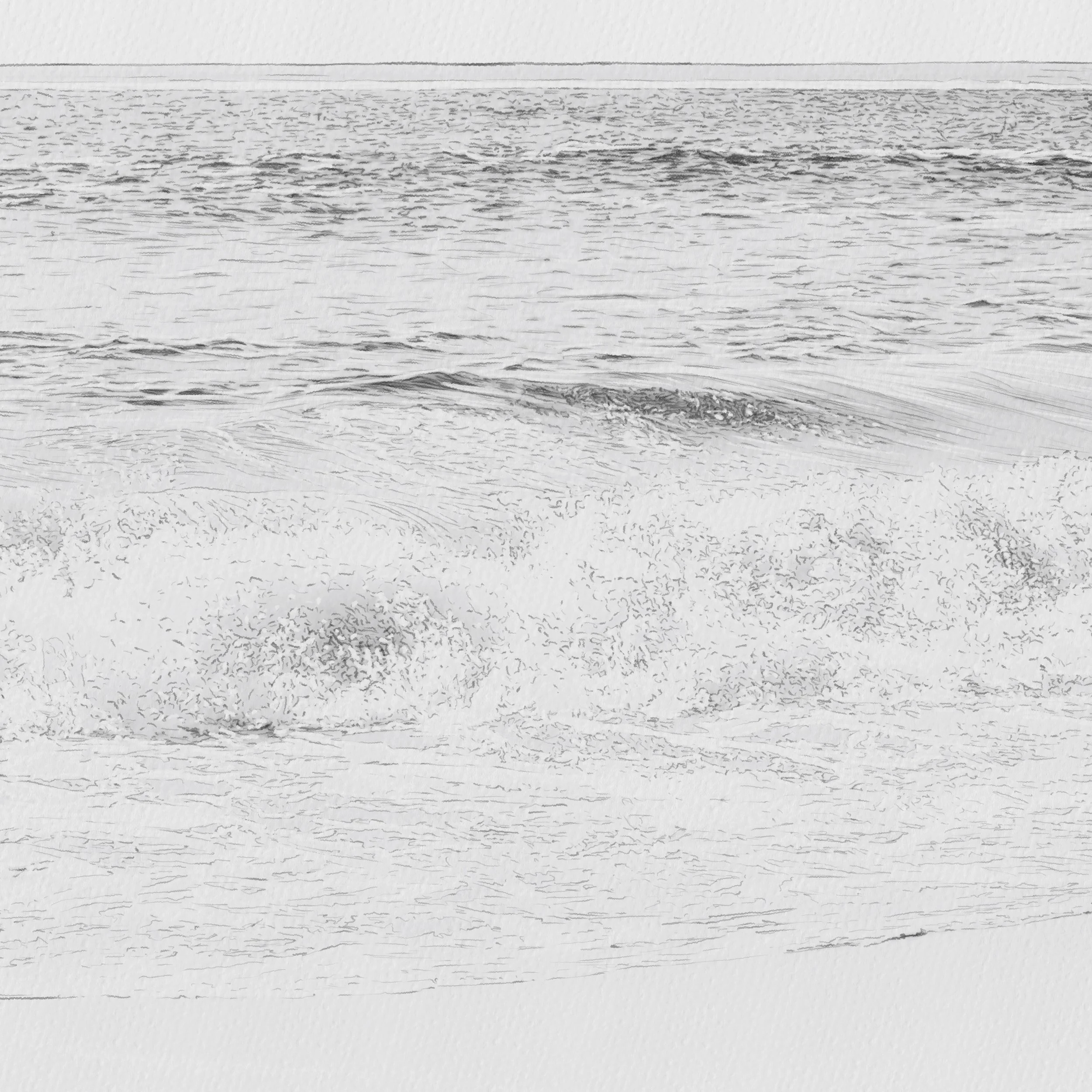 Kait DArcy Art Palm Waves 5.jpg