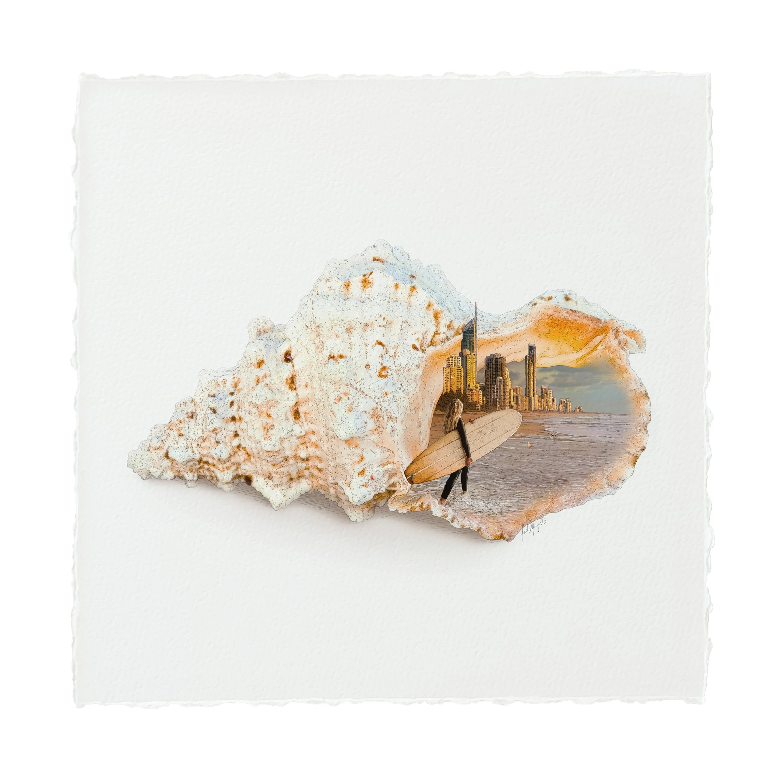 Kait DArcy Art Seashells Surfers Paradise 11.jpg