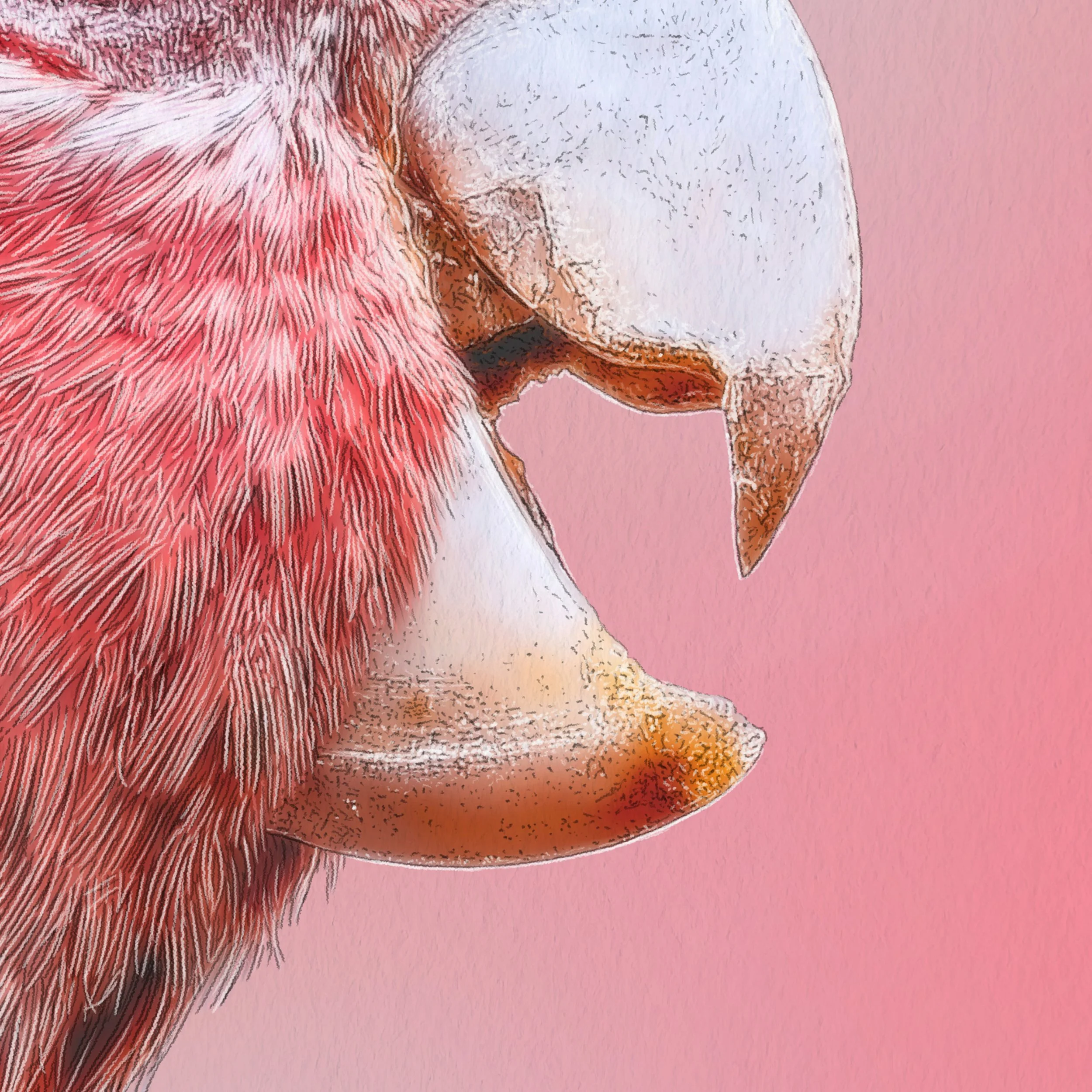 Kait D'Arcy Art Galah Website Listing Square 2.jpg