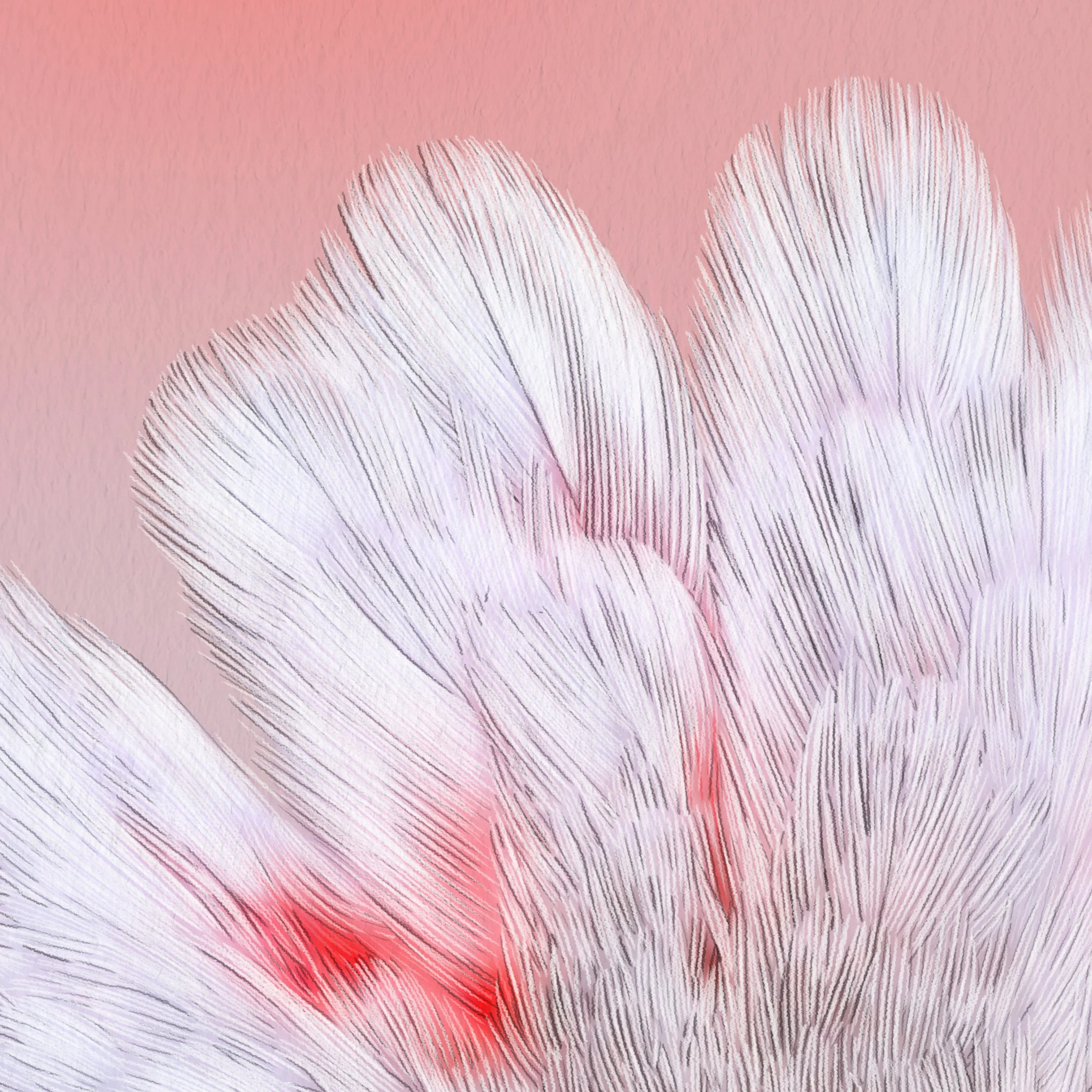 Kait D'Arcy Art Galah Website Listing Square 3.jpg