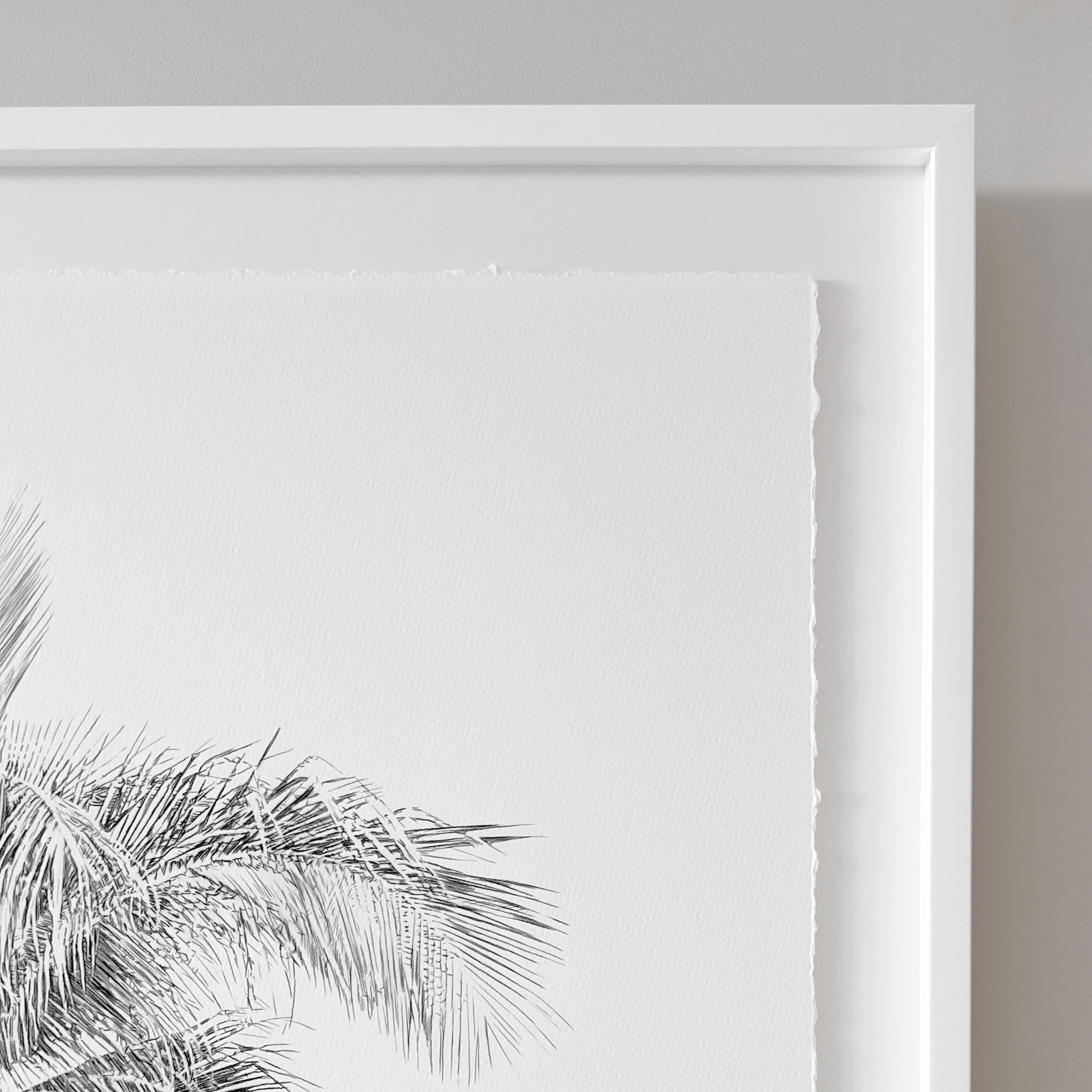 Kait DArcy Art Palm Lines 17.jpg