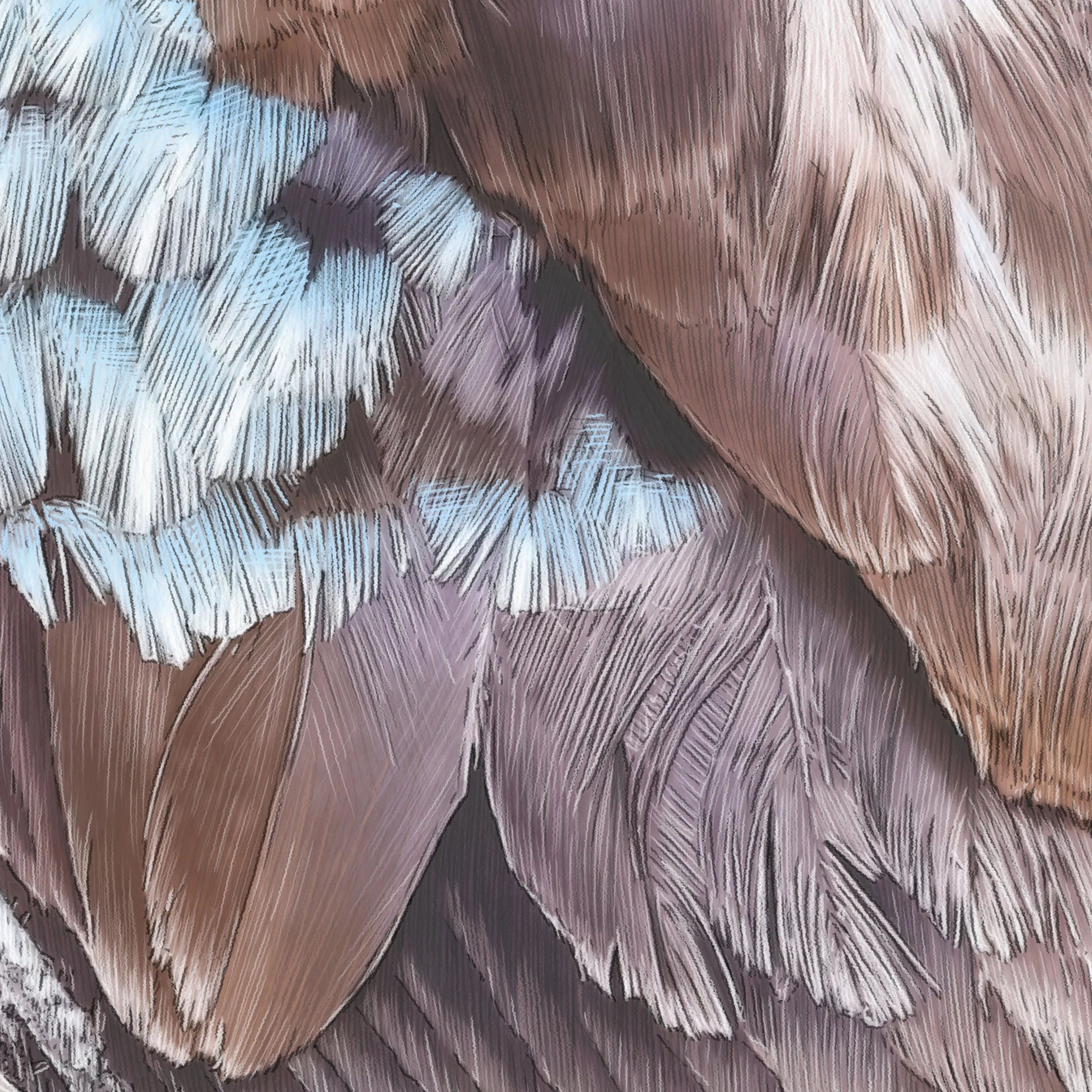 Kait D'Arcy Art Coco Kookaburra 6.jpg