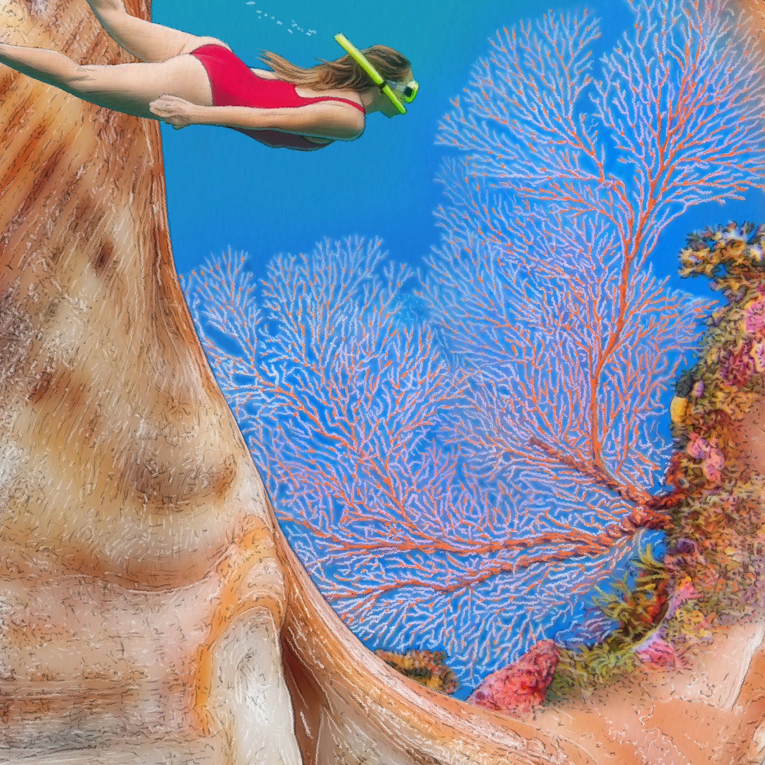 Kait DArcy Art Seashells Diving Down Under Website 3.jpg