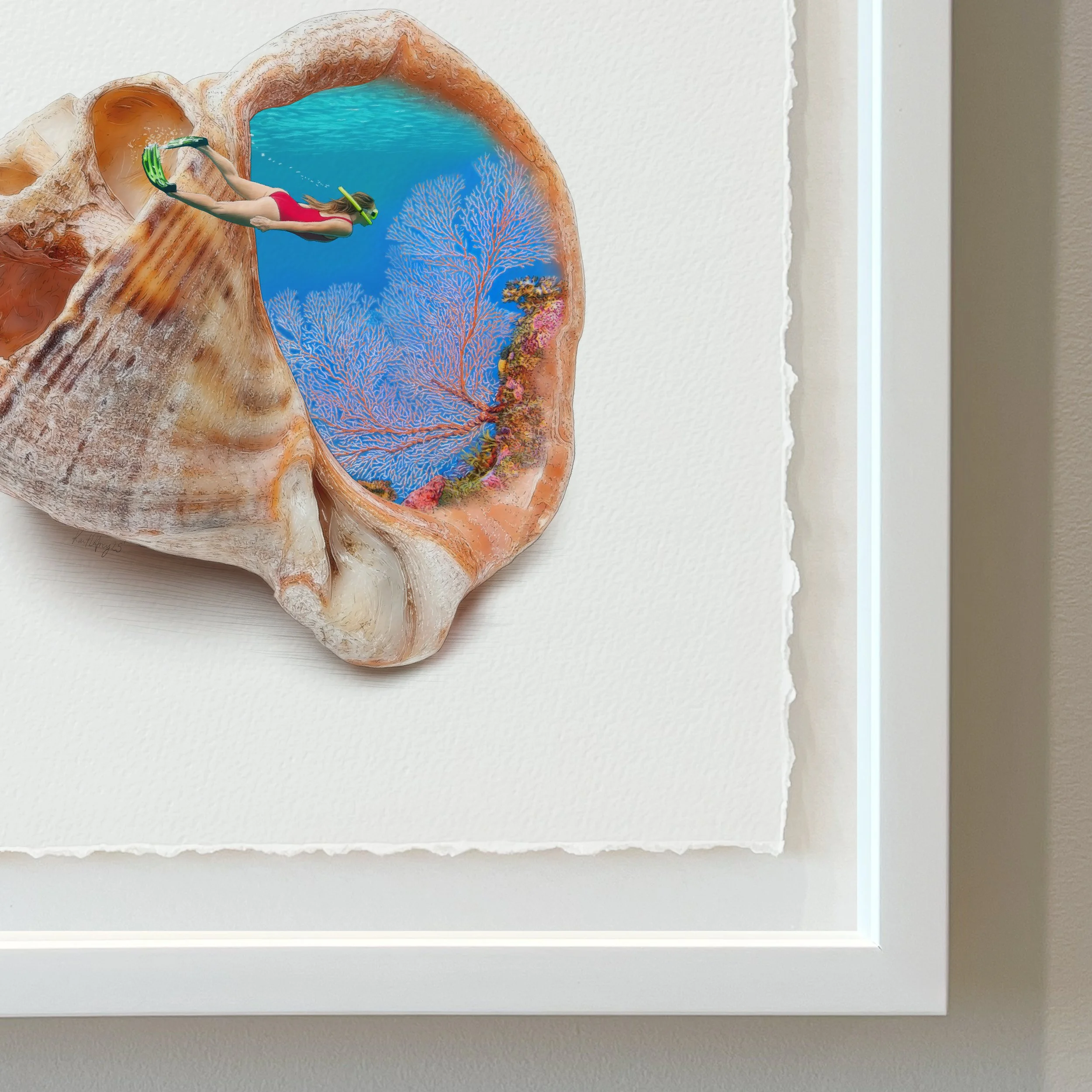 Kait DArcy Art Seashells Diving Down Under Website 2.jpg