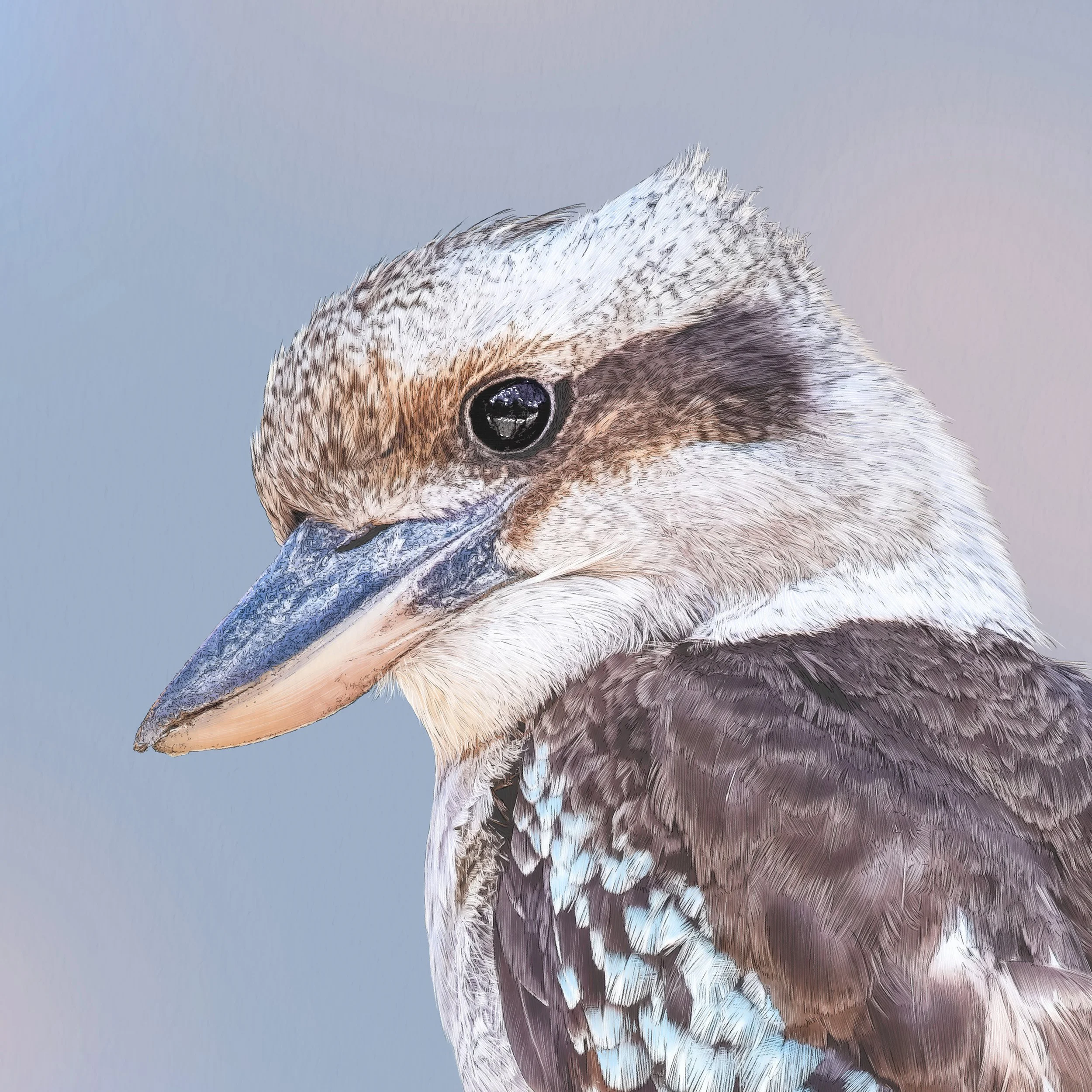 Kait D'Arcy Art Coco Kookaburra 2.jpg
