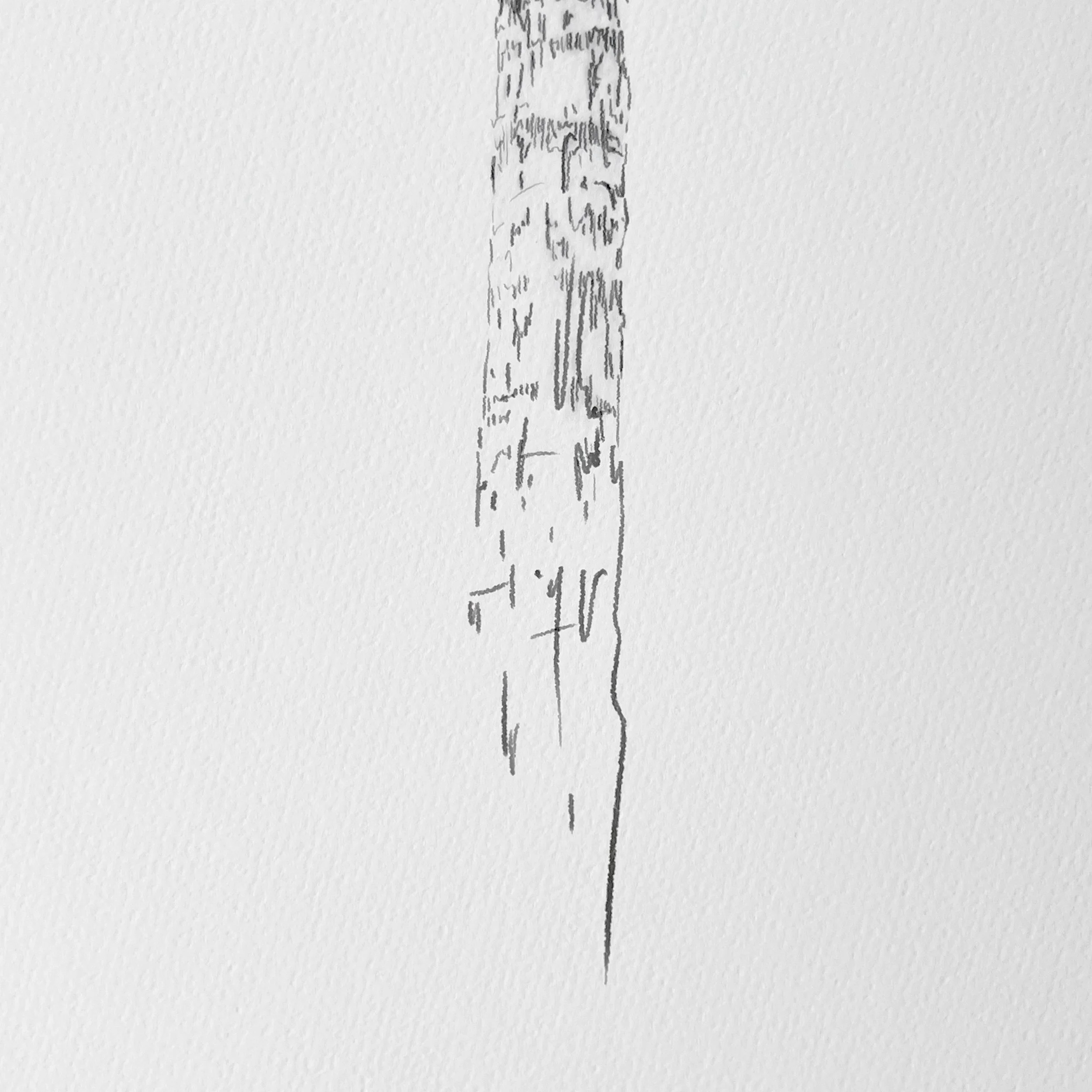 Kait DArcy Art Palm Lines 12.jpg