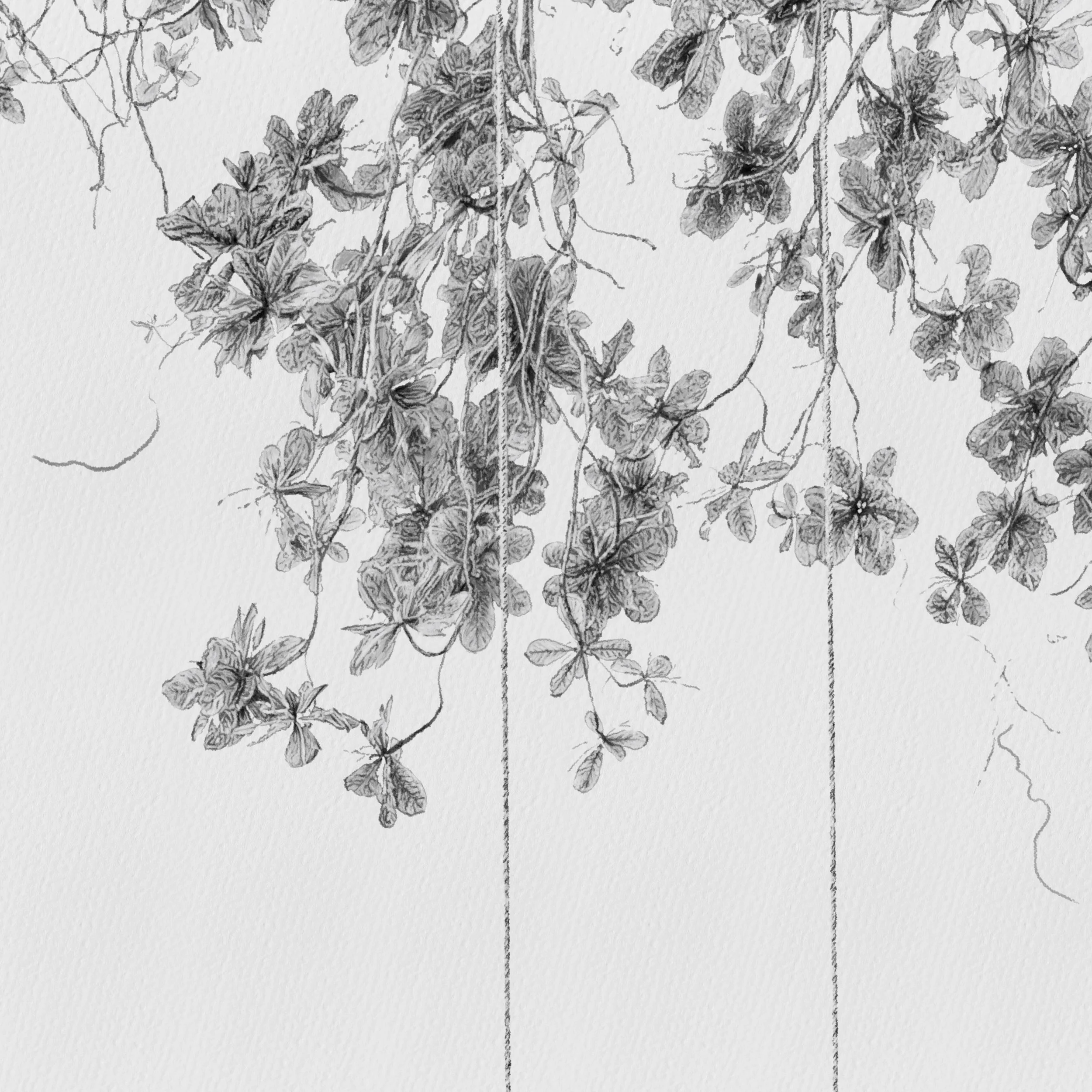 Kait DArcy Art Saltwater Swing 5.jpg