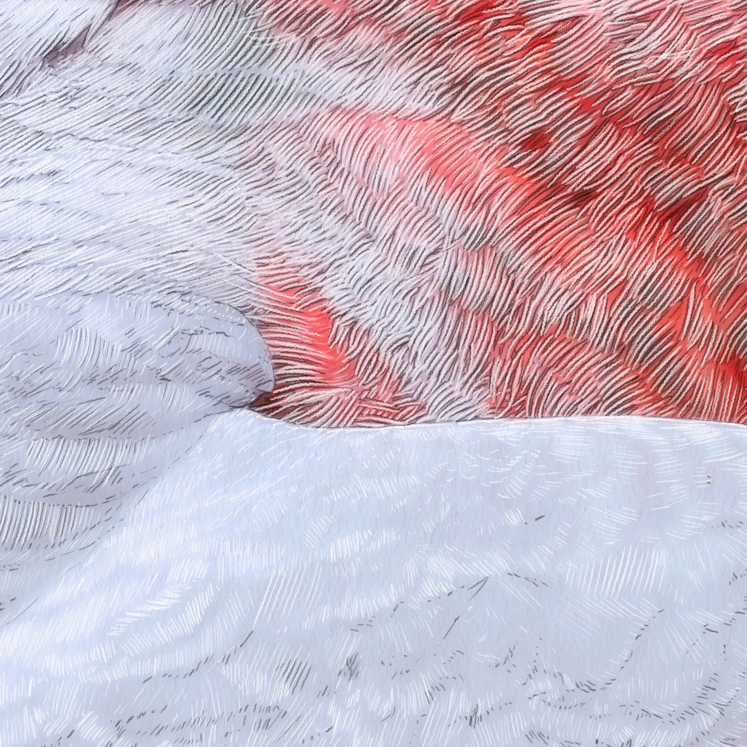 Kait D'Arcy Art Galah Website Listing Square 4.jpg