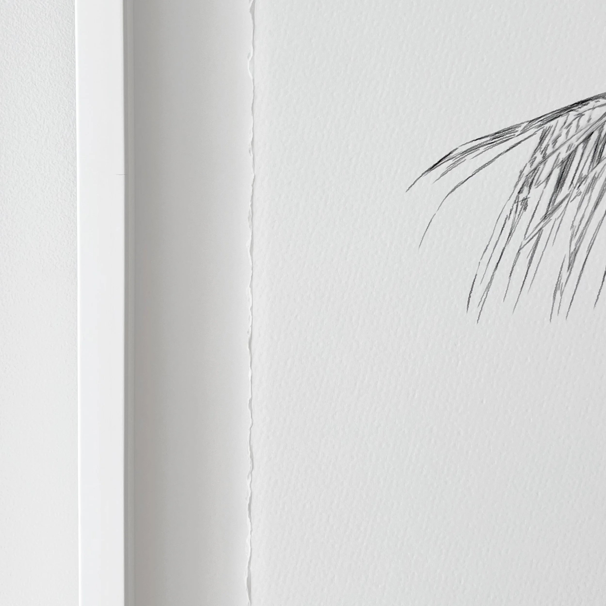 Kait DArcy Art Palm Lines 10.jpg