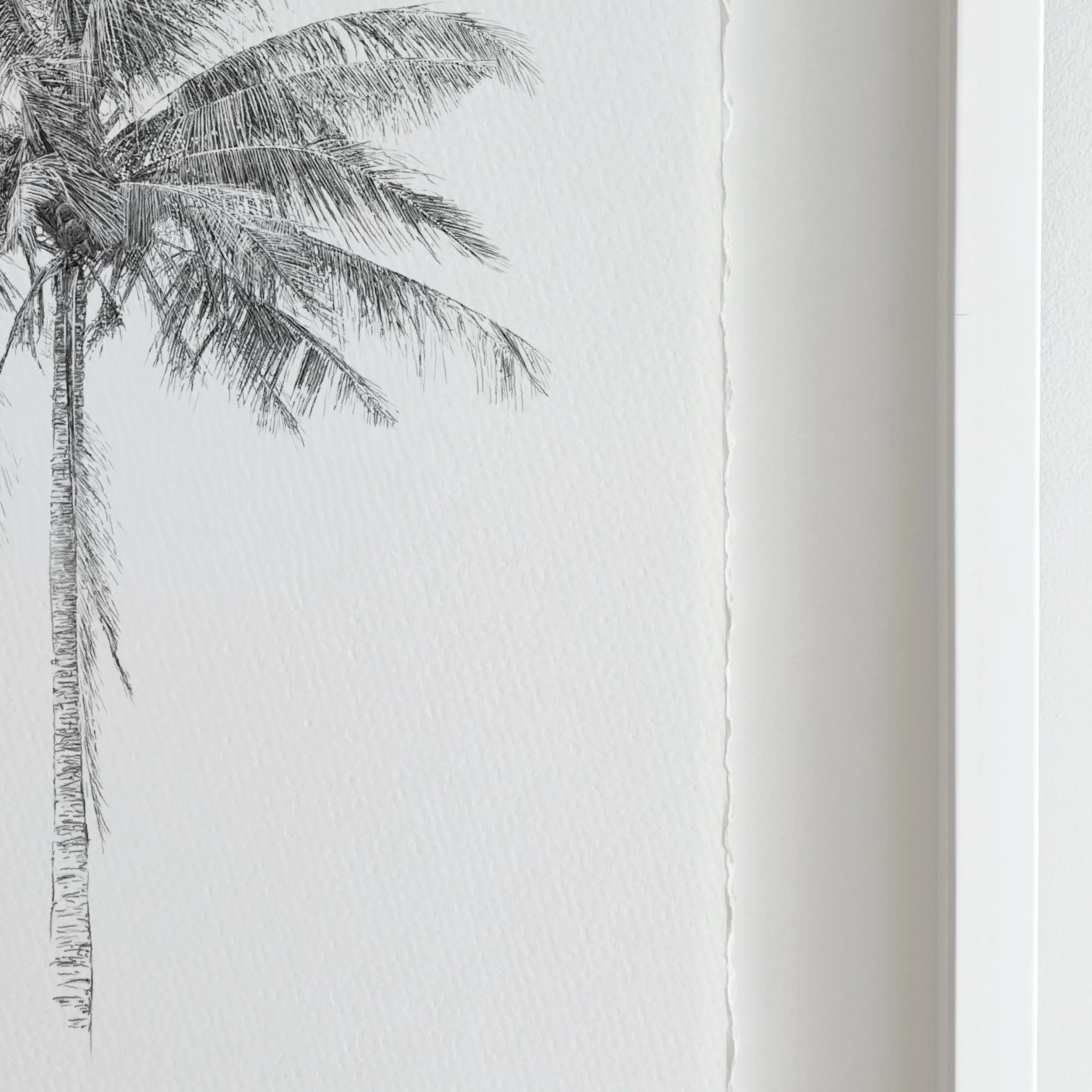 Kait DArcy Art Weathered Wonder Website 4.jpg