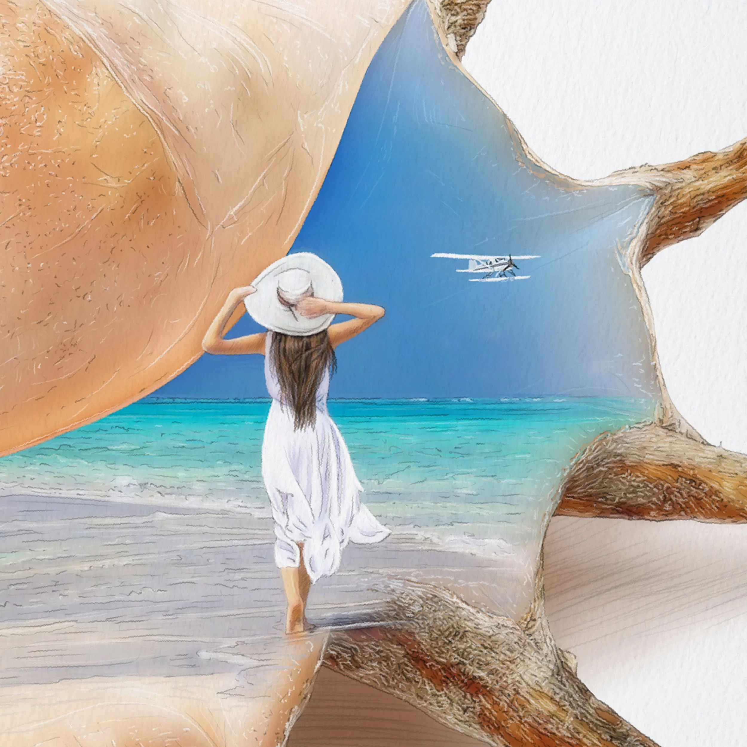 Kait DArcy Art Sea Shells Whitehaven Wandering Website 3.jpg