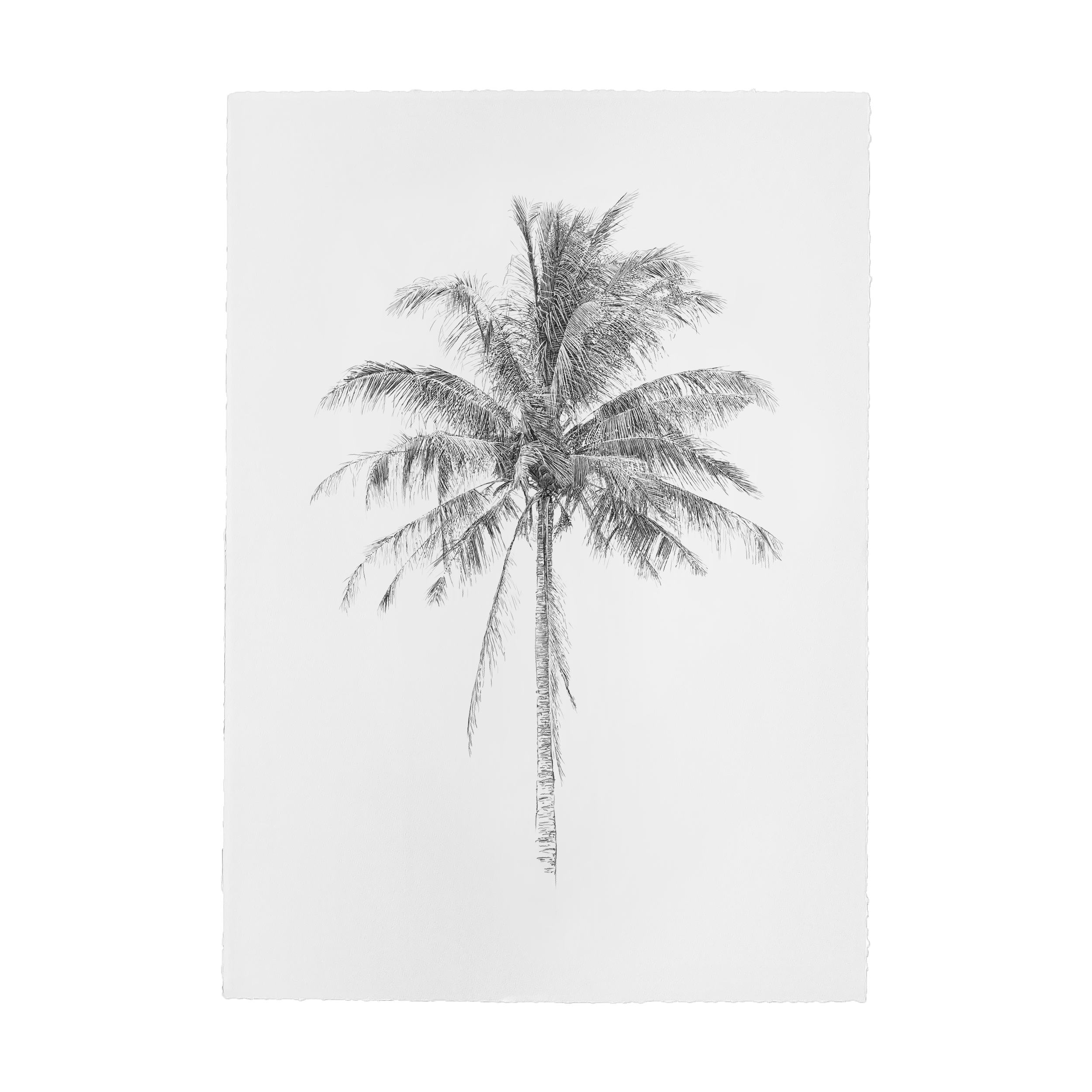 Kait DArcy Art Weathered Wonder Website 5.png