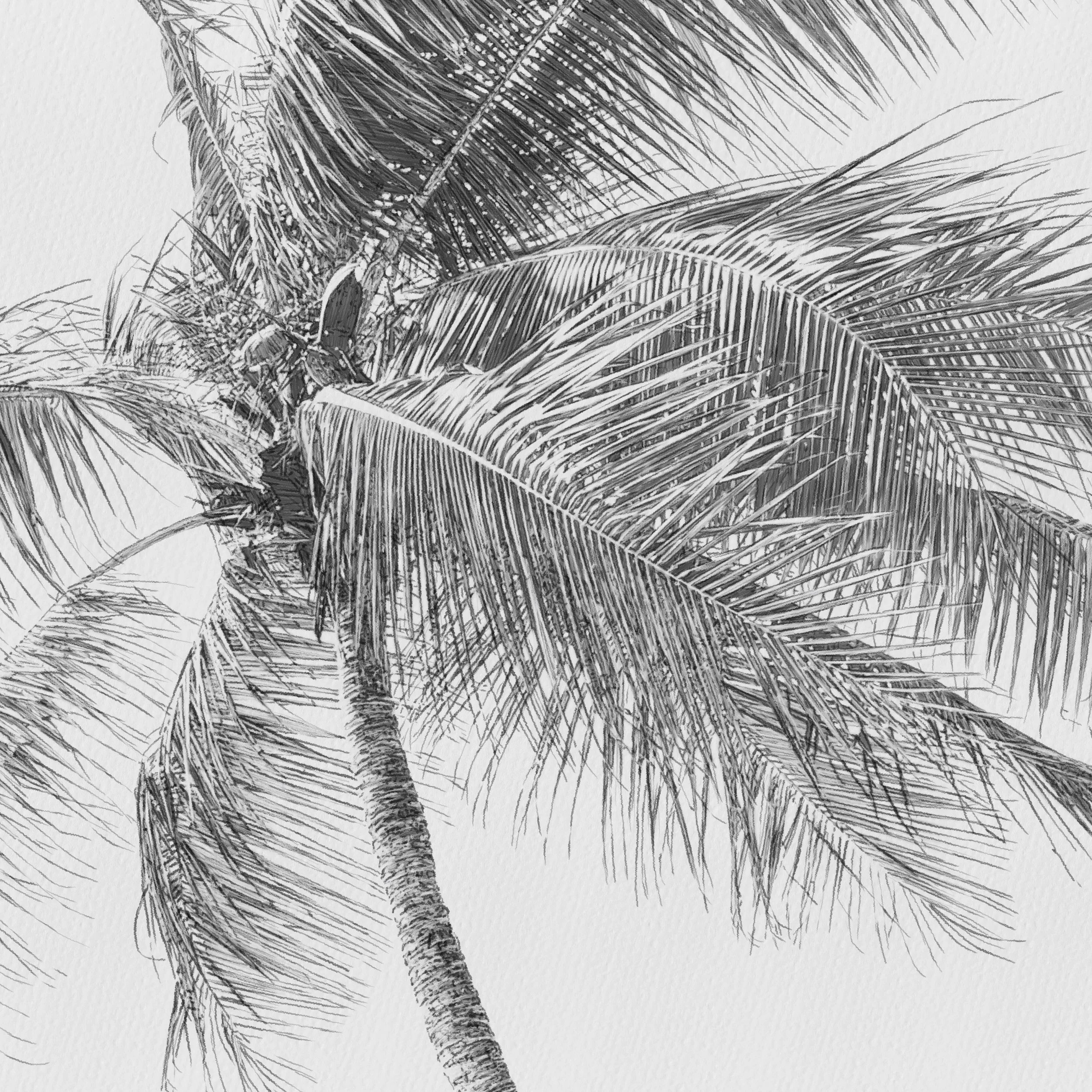 Kait DArcy Art Palm Waves 2.jpg