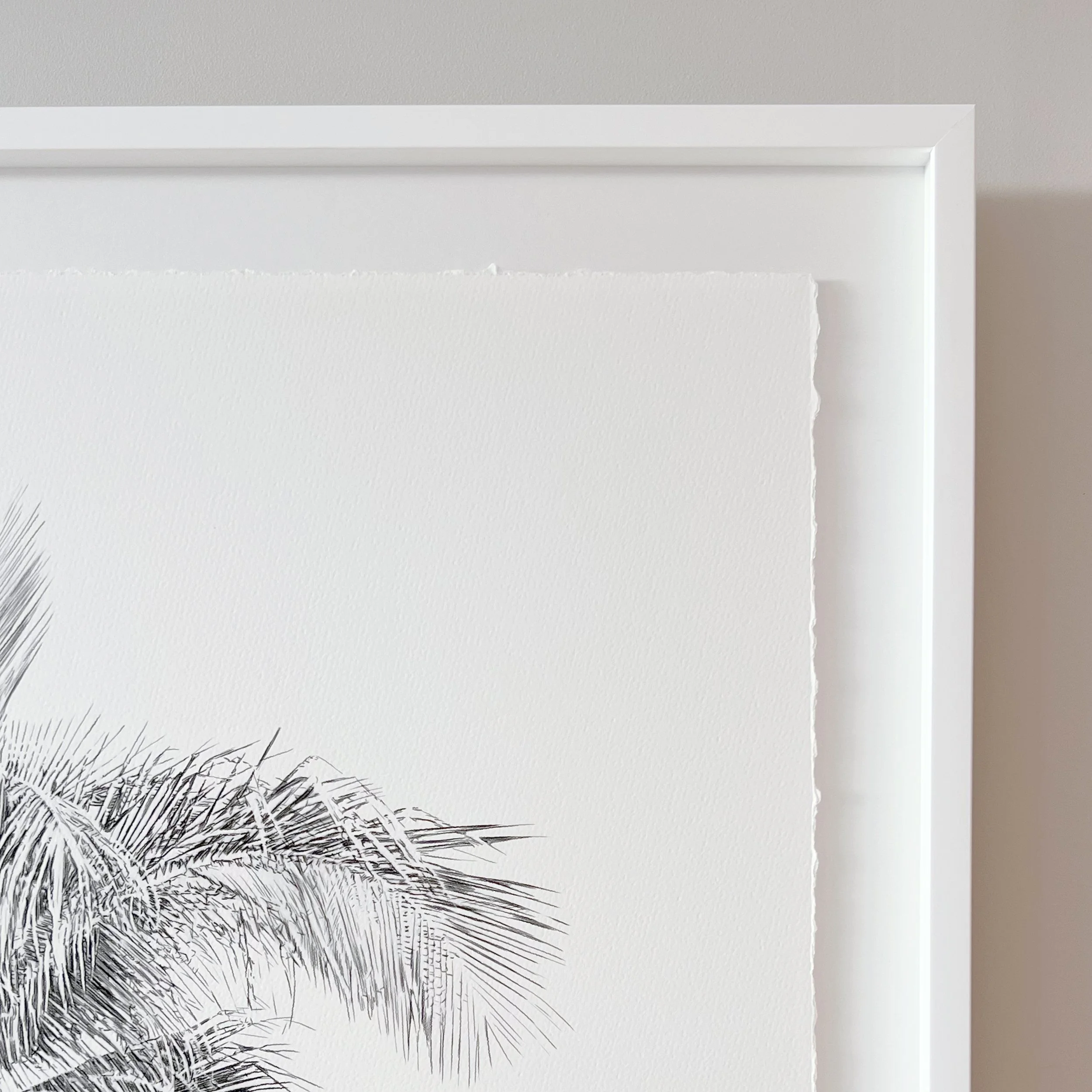 Kait DArcy Art Palm Lines 17.jpg